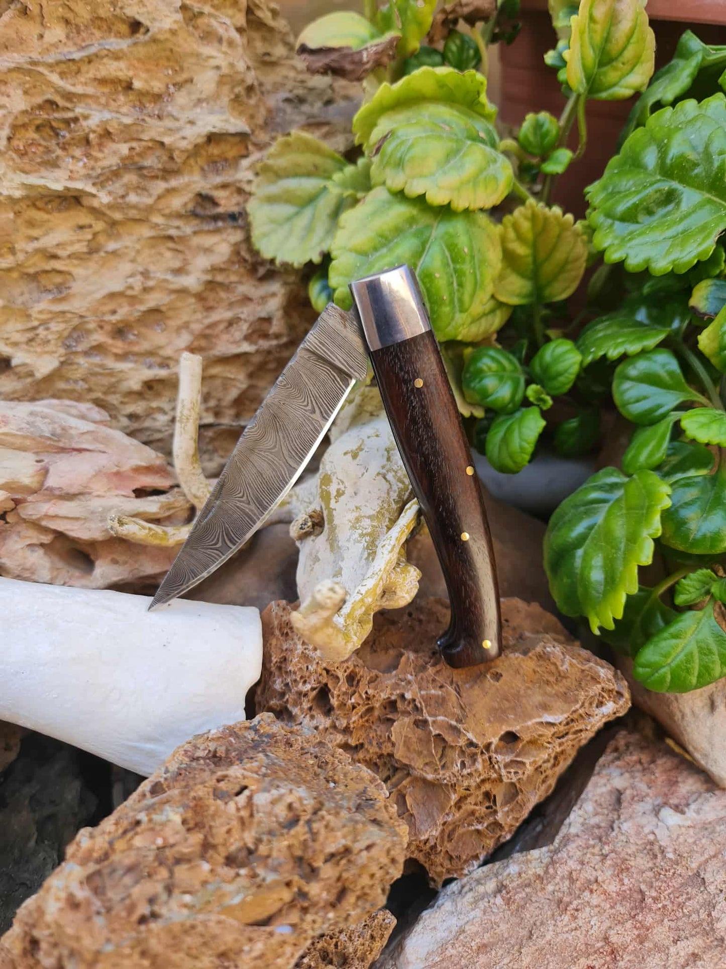 Handmade Resolza Pattadese – 23cm Italian Style Folding Knife with Damascus Steel & Walnut Wood