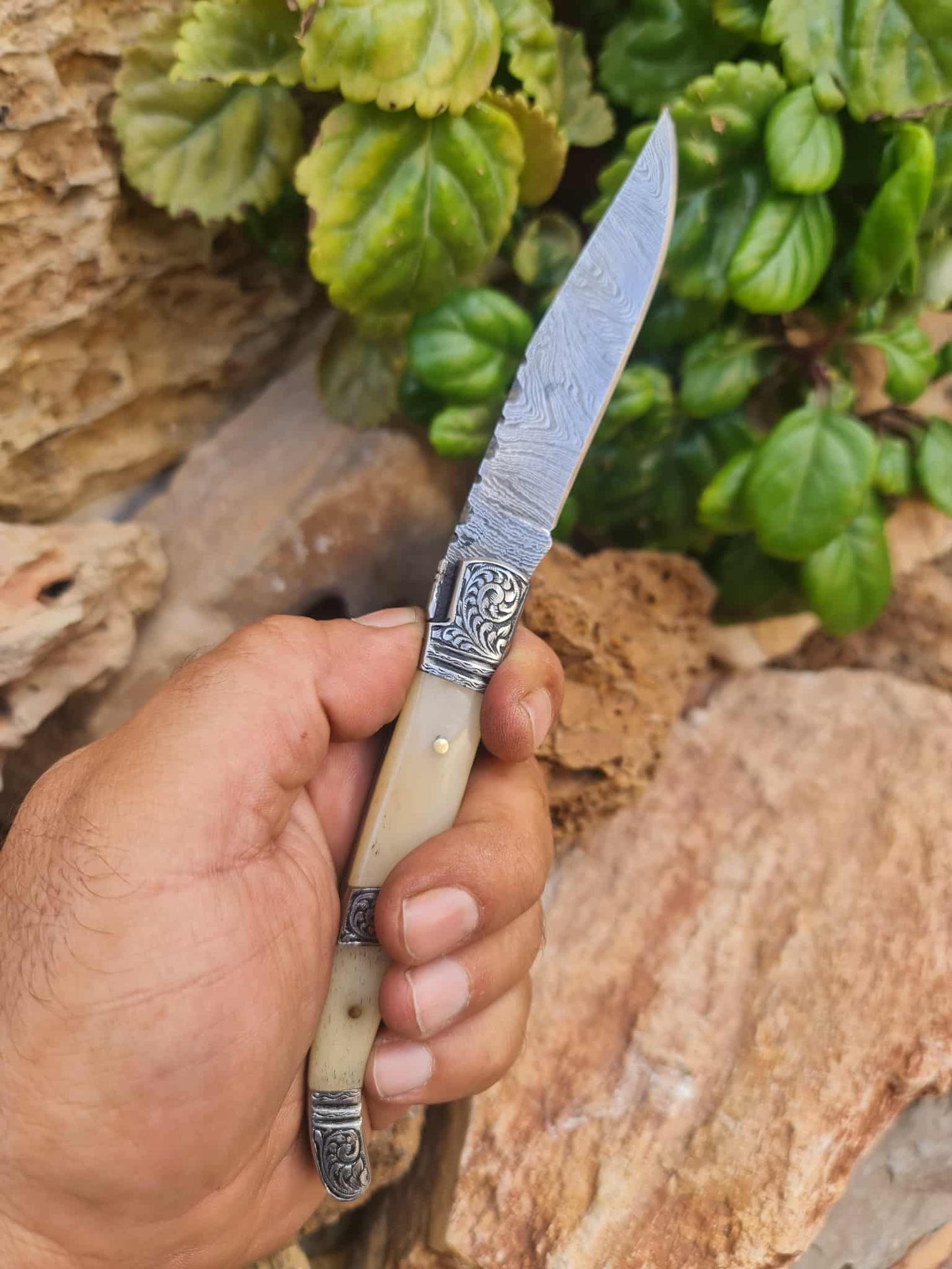 Handmade 22cm Laguiole Rustique with Damascus Steel - Camel Bone & 420 Stainless Steel with Master Hand-Engraved