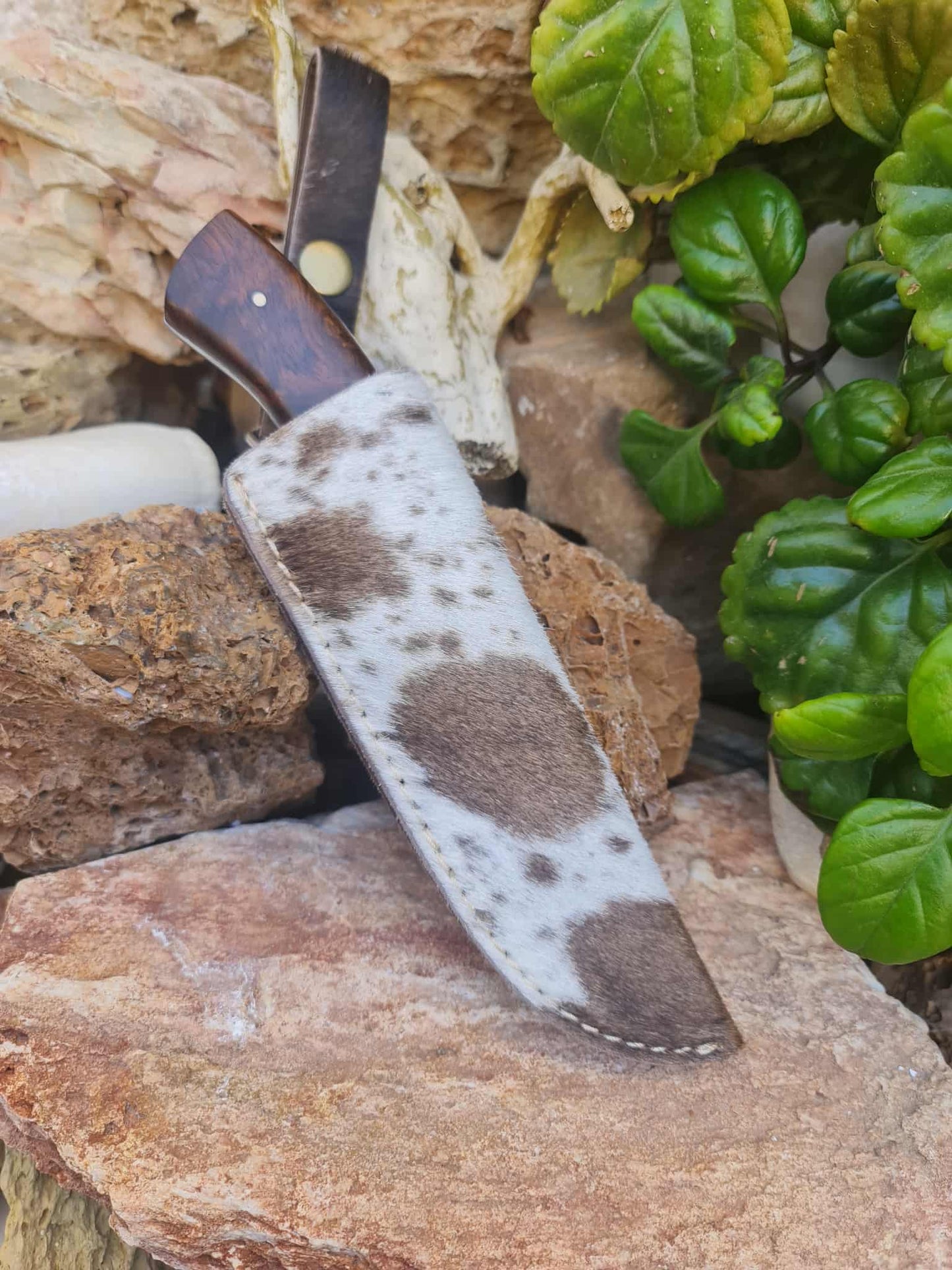 Handmade 23cm Exclusive Hunting Knife with Stainless Steel with Master Hand-Engraved & Rosewood