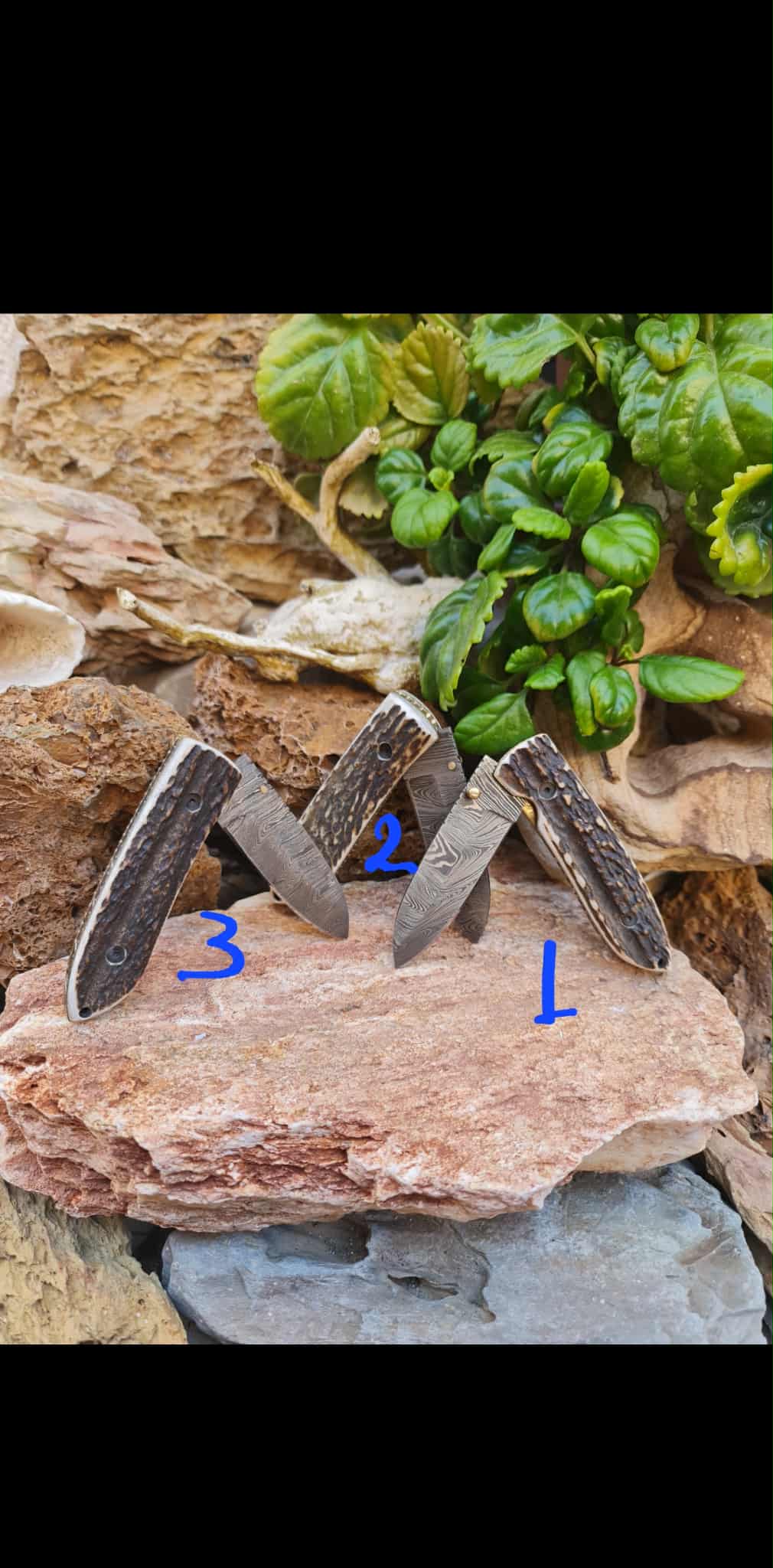 Handmade Classic Elegance – 19cm Folding Knife with Damascus Steel & Red Deer antler