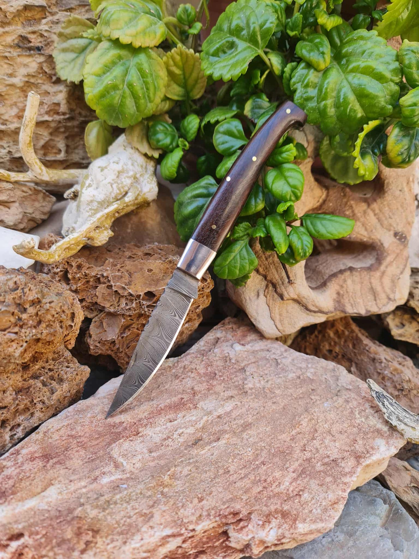 Handmade Resolza Pattadese – 23cm Italian Style Folding Knife with Damascus Steel & Walnut Wood