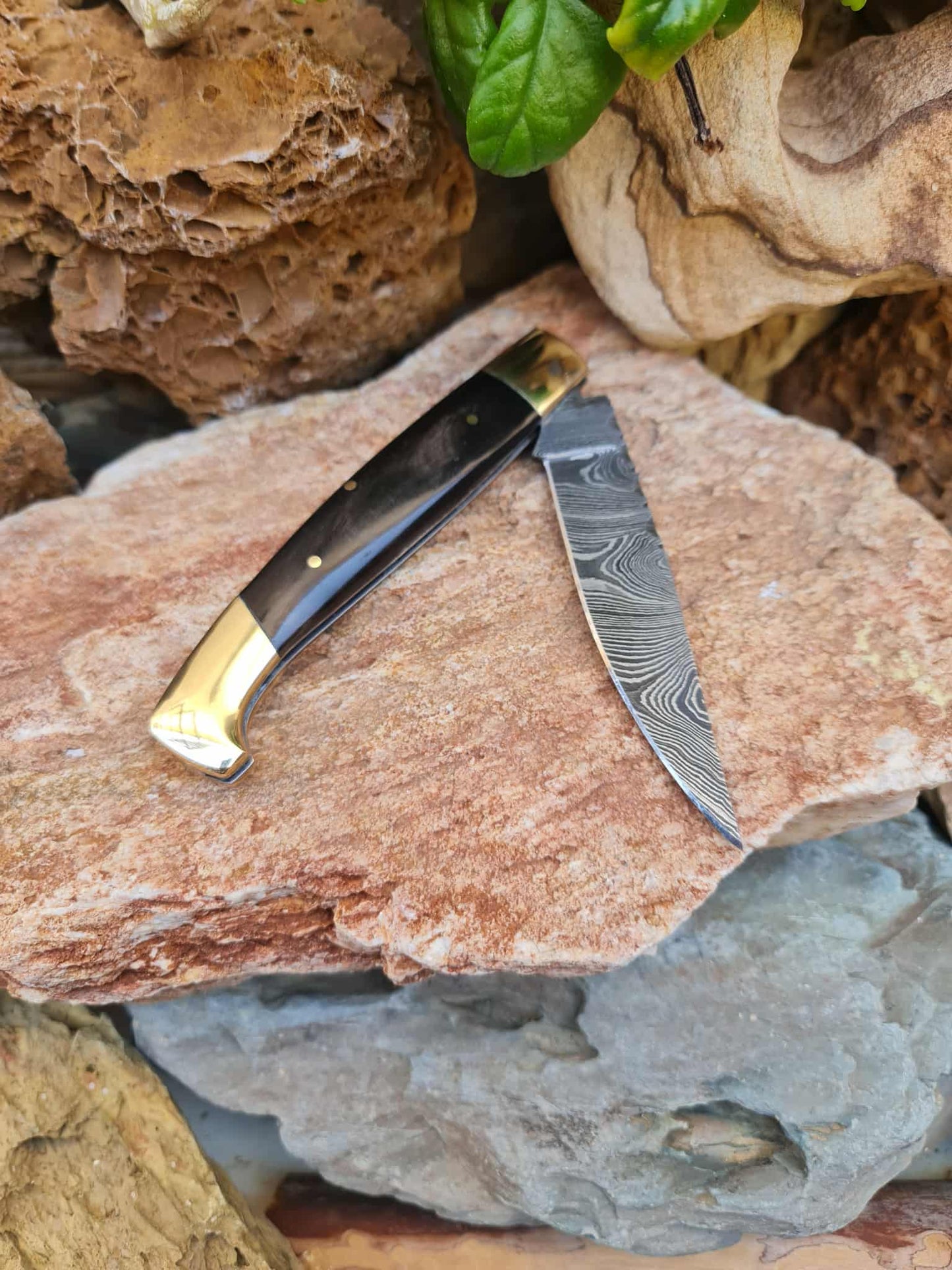 Handmade Resolza Pattadese – 23cm Italian Style Folding Knife with Damascus Steel - Buffalo Horn & Brass