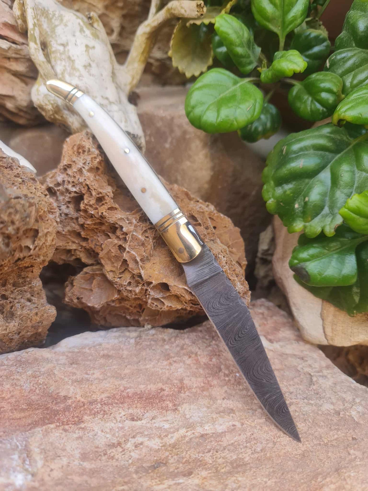 Handmade 22cm Laguiole Classique with Damascus Steel - Camel Bone & Brass