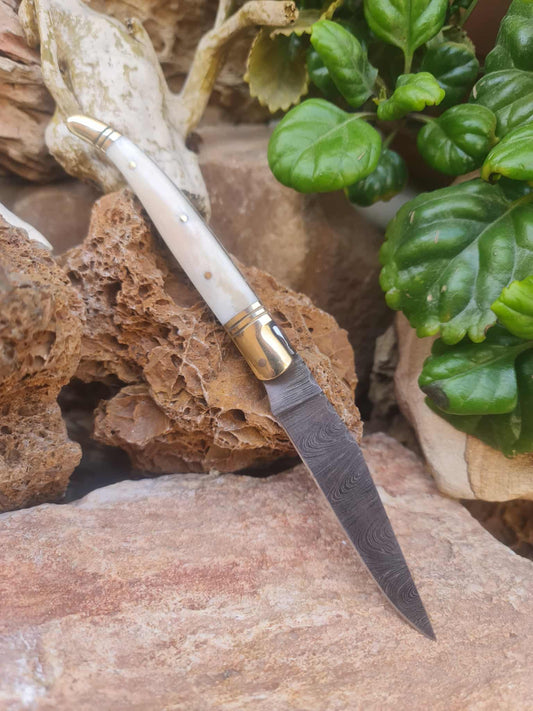 Handmade 22cm Laguiole Classique with Damascus Steel - Camel Bone & Brass