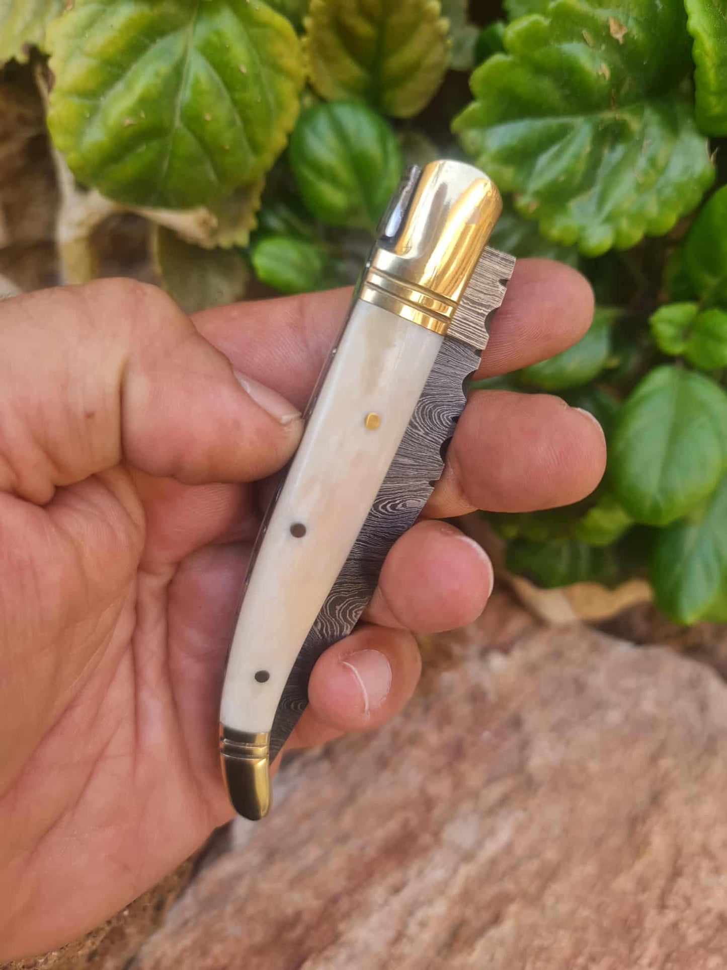 Handmade 22cm Laguiole Classique with Damascus Steel - Camel Bone & Brass