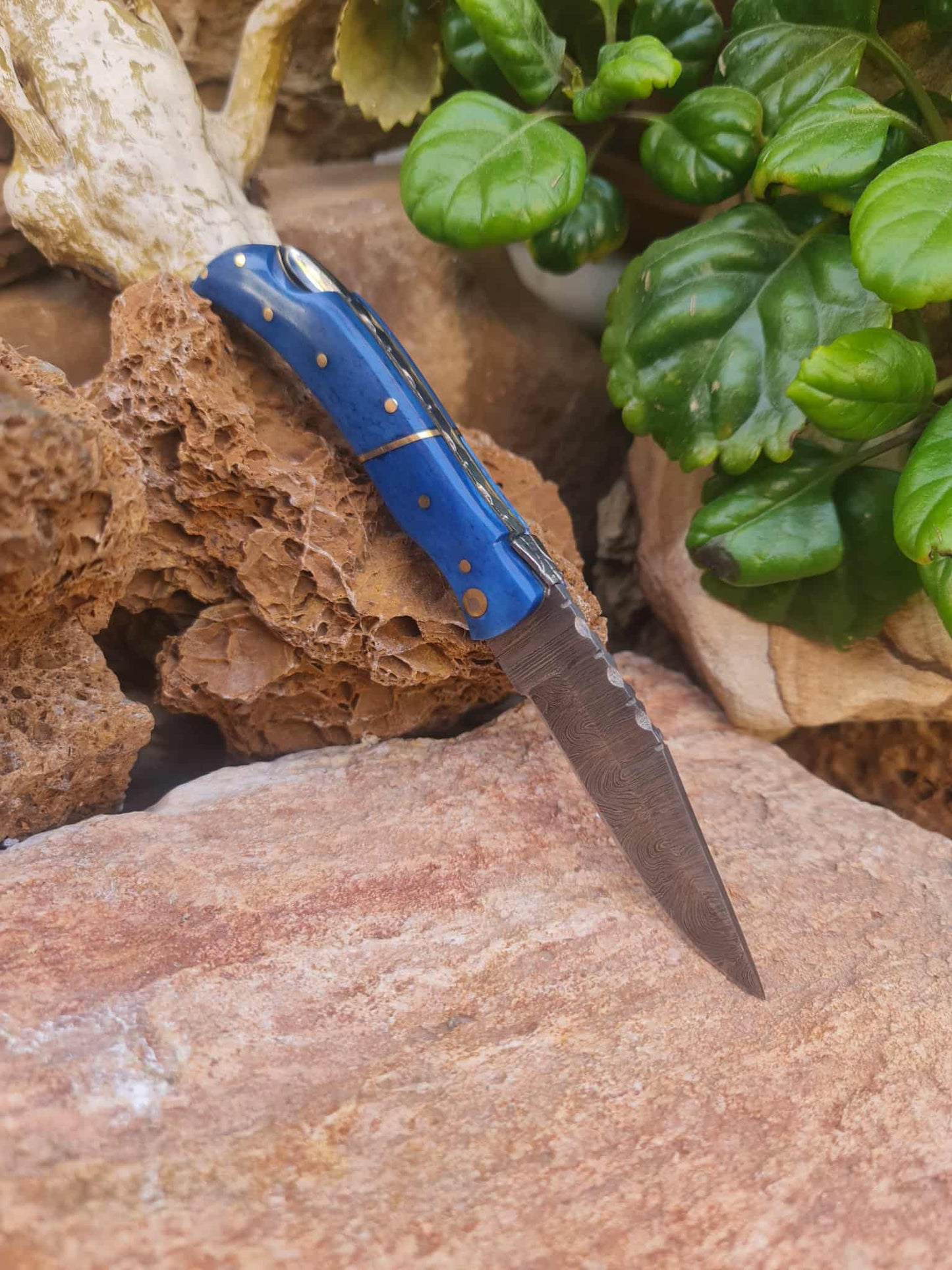 Handmade 19cm Laguiole Élite with Damascus Steel & Stabilized Camel Bone