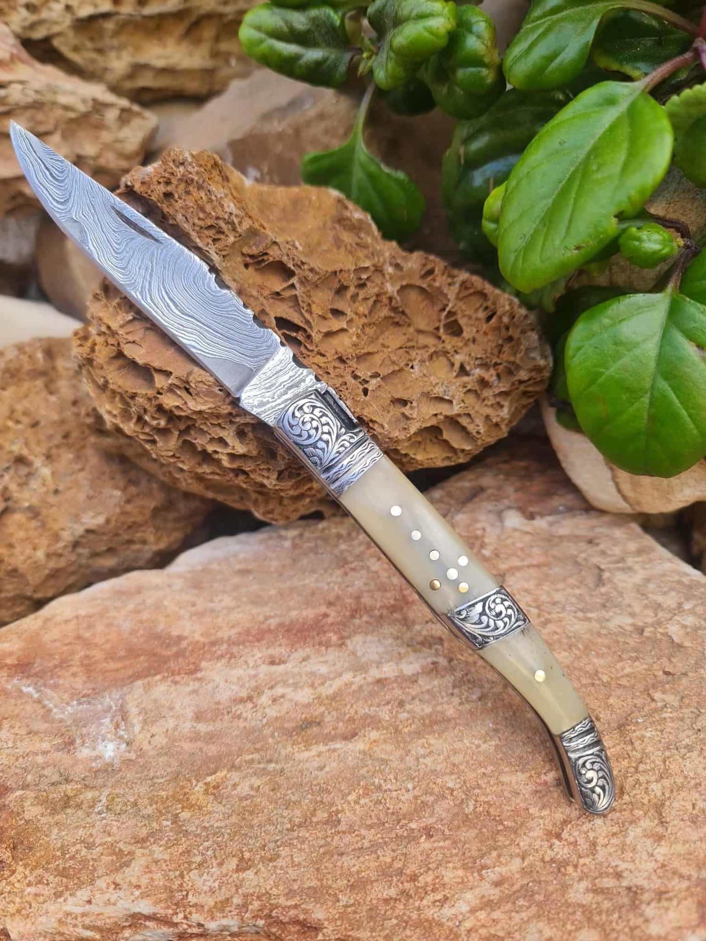 Handmade 22cm Laguiole Rustique with Damascus Steel - Camel Bone & 420 Stainless Steel with Master Hand-Engraved
