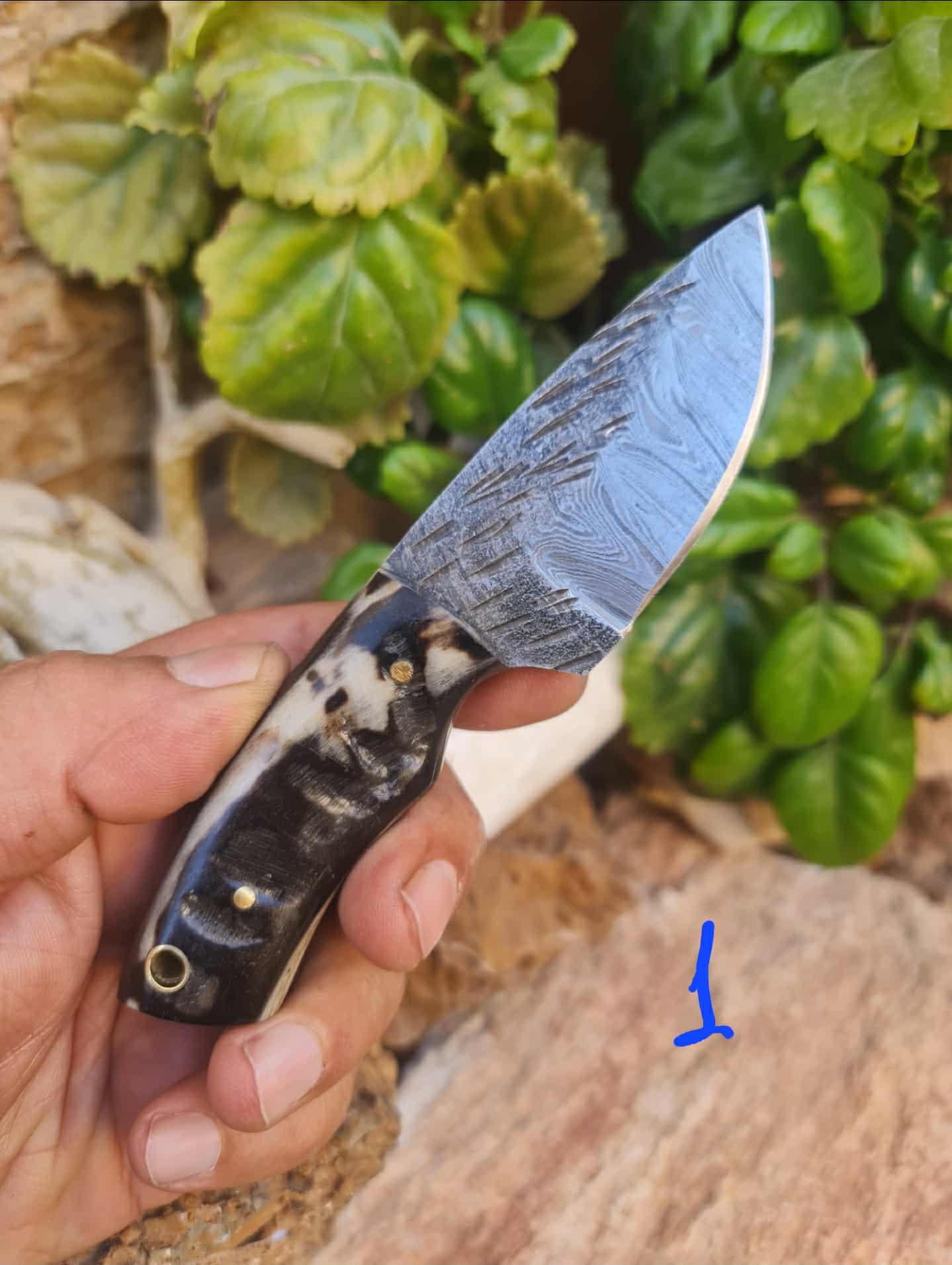 Handmade 15cm Mini Skinner Knife with Damascus Steel & Ram Horn