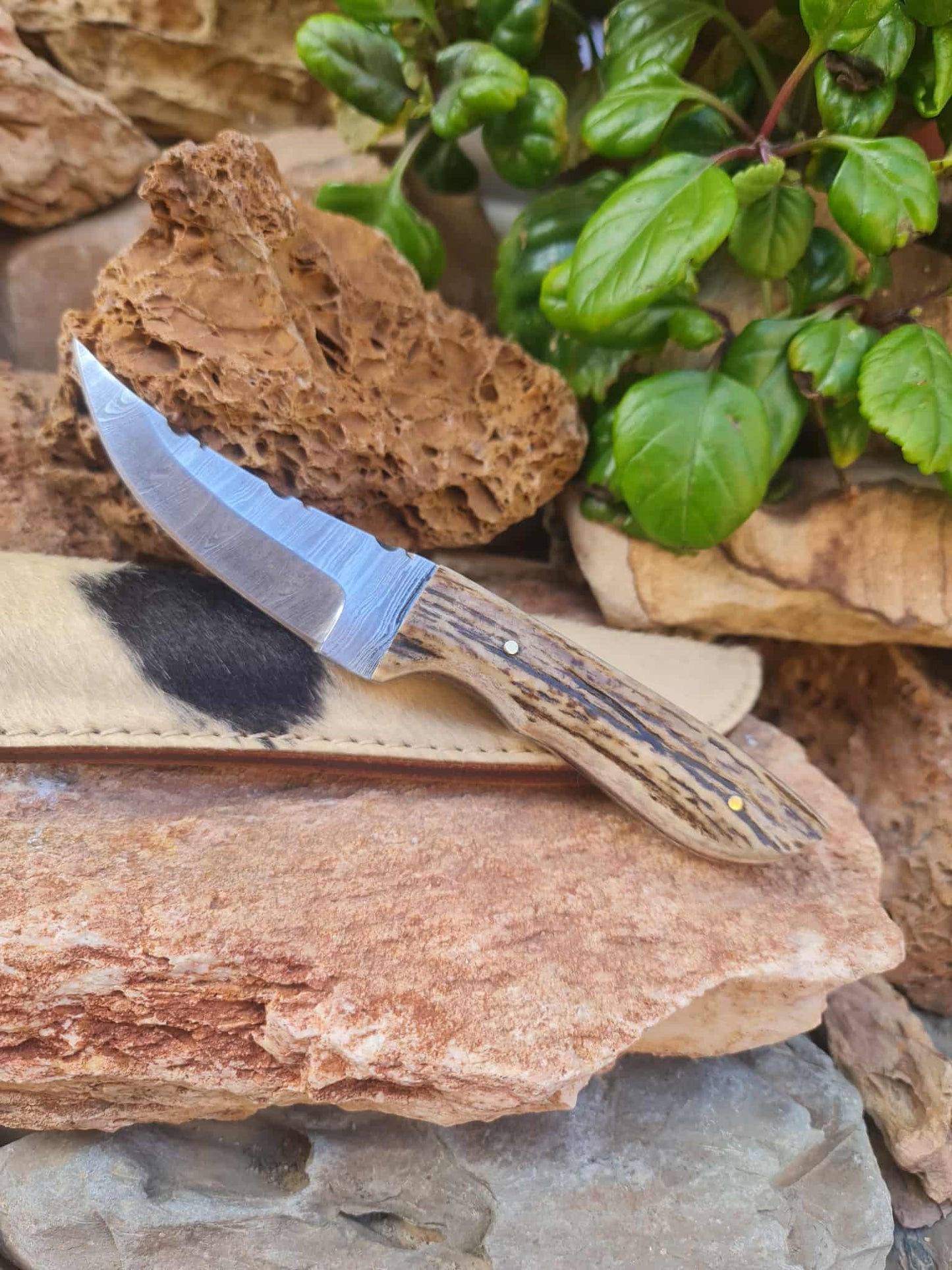 Handmade 21cm Hunting Knife with Damascus Steel & Red Deer antler