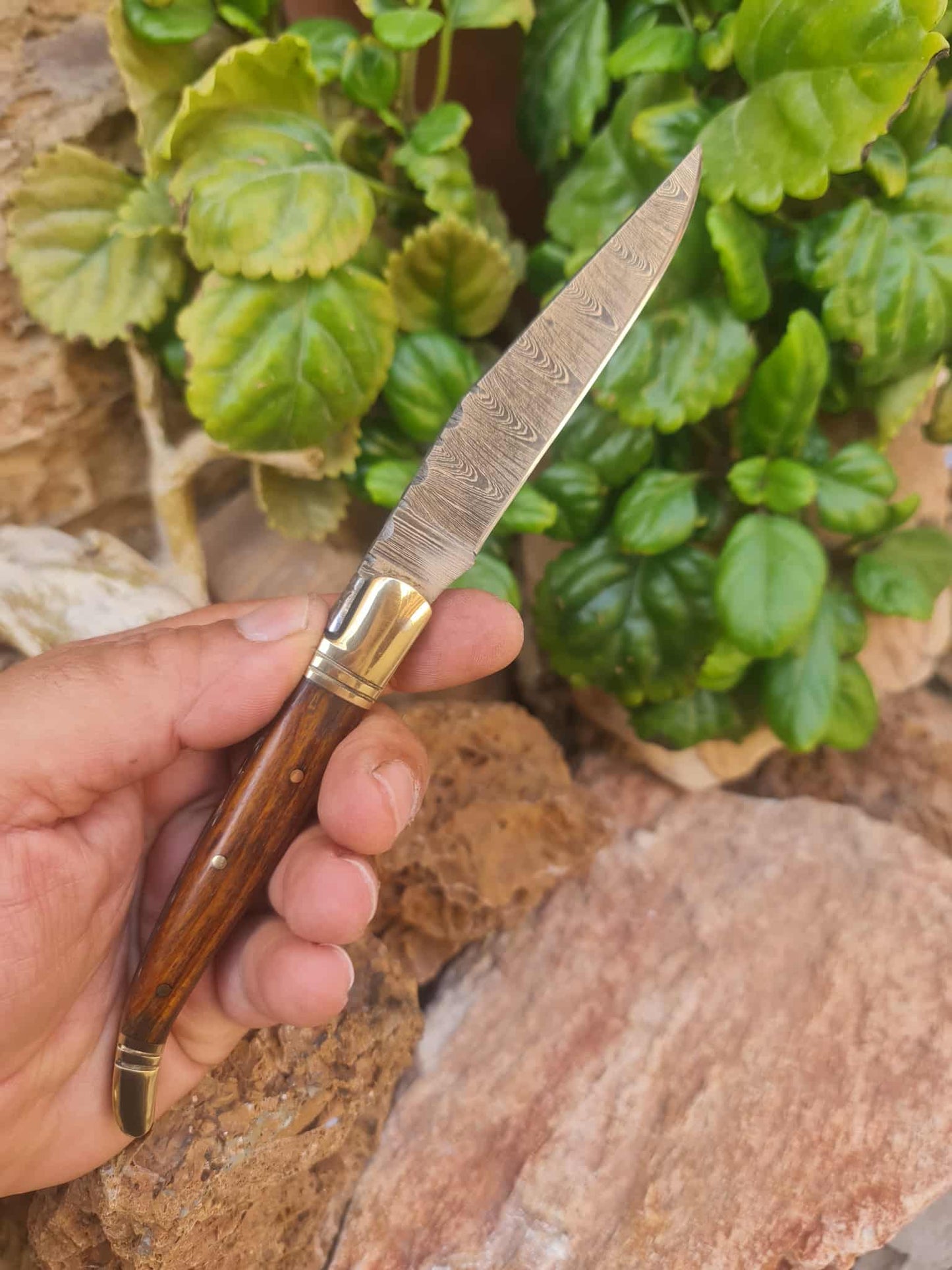 Handmade 22cm Laguiole Classique with Damascus Steel - Walnut wood & Brass