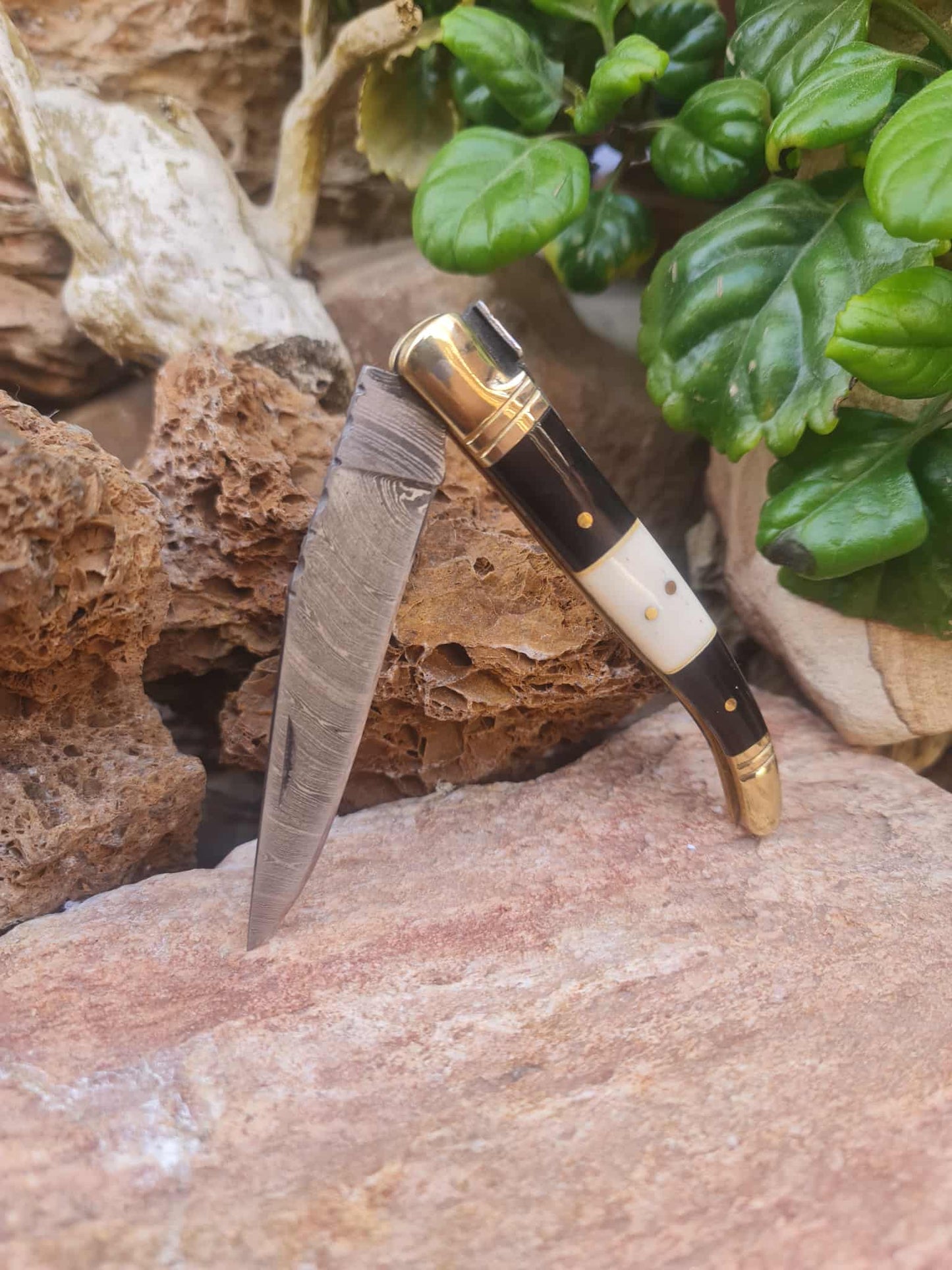 Handmade 22cm Laguiole Classique with Damascus Steel - Buffalo Horn - Camel Bone & Brass