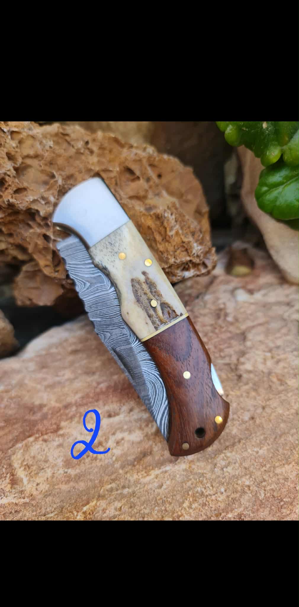 Handmade 19cm Pocket Knife with Damascus Steel - Red deer antler - Walnut wood & D2 Stainless Steel