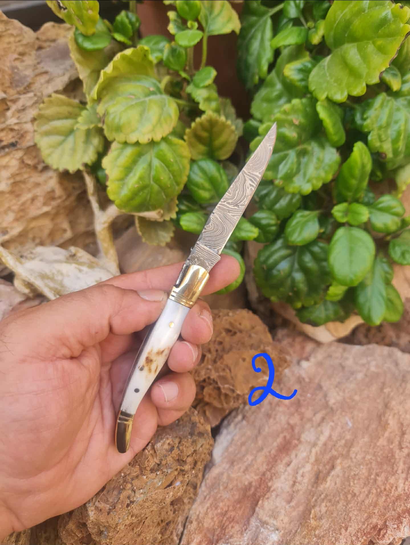 Handmade 19cm Laguiole Classique with Damascus Steel - Red Deer antler & Brass