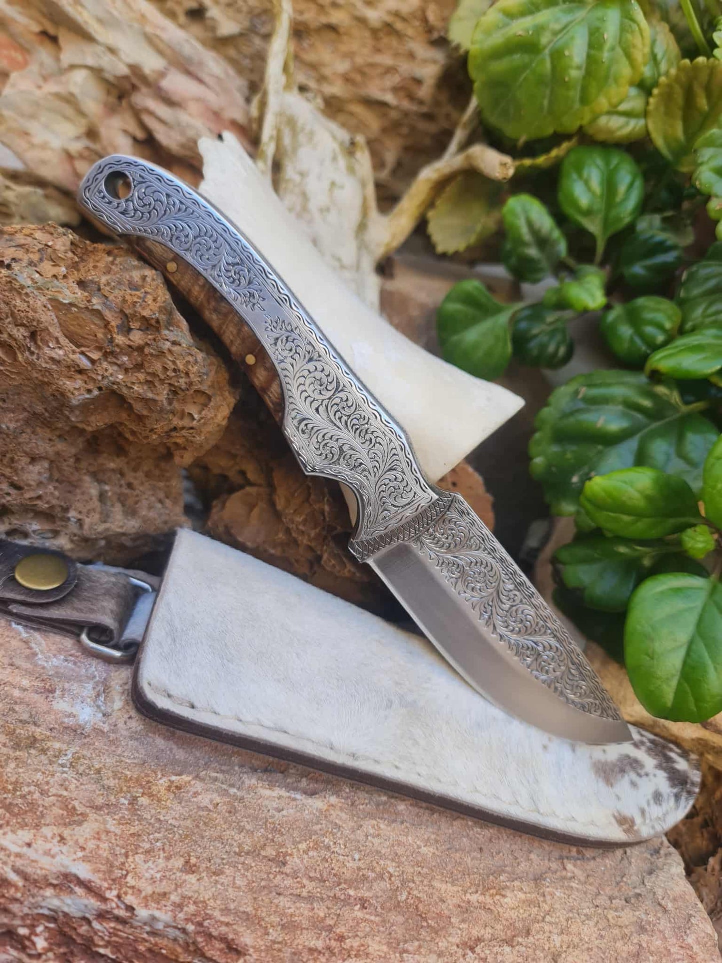 Handmade 23cm Exclusive Hunting Knife with Stainless Steel with Master Hand-Engraved & Exotic Hardwood