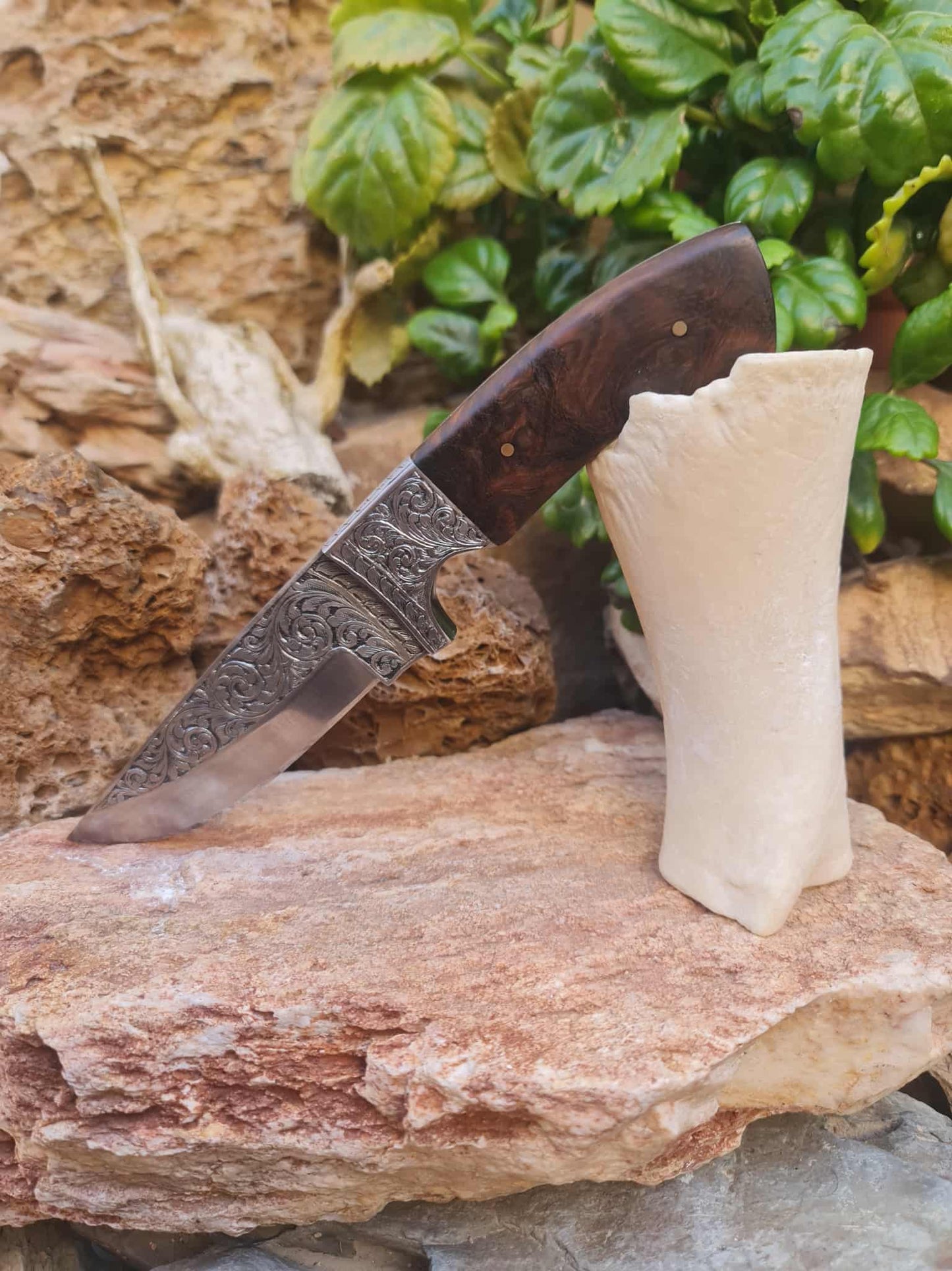 Handmade 23cm Exclusive Hunting Knife with Stainless Steel with Master Hand-Engraved & Rosewood