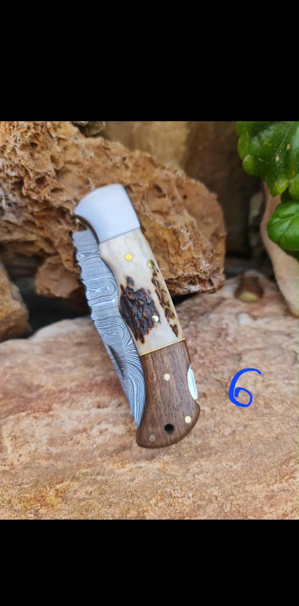 Handmade 19cm Pocket Knife with Damascus Steel - Red deer antler - Walnut wood & D2 Stainless Steel