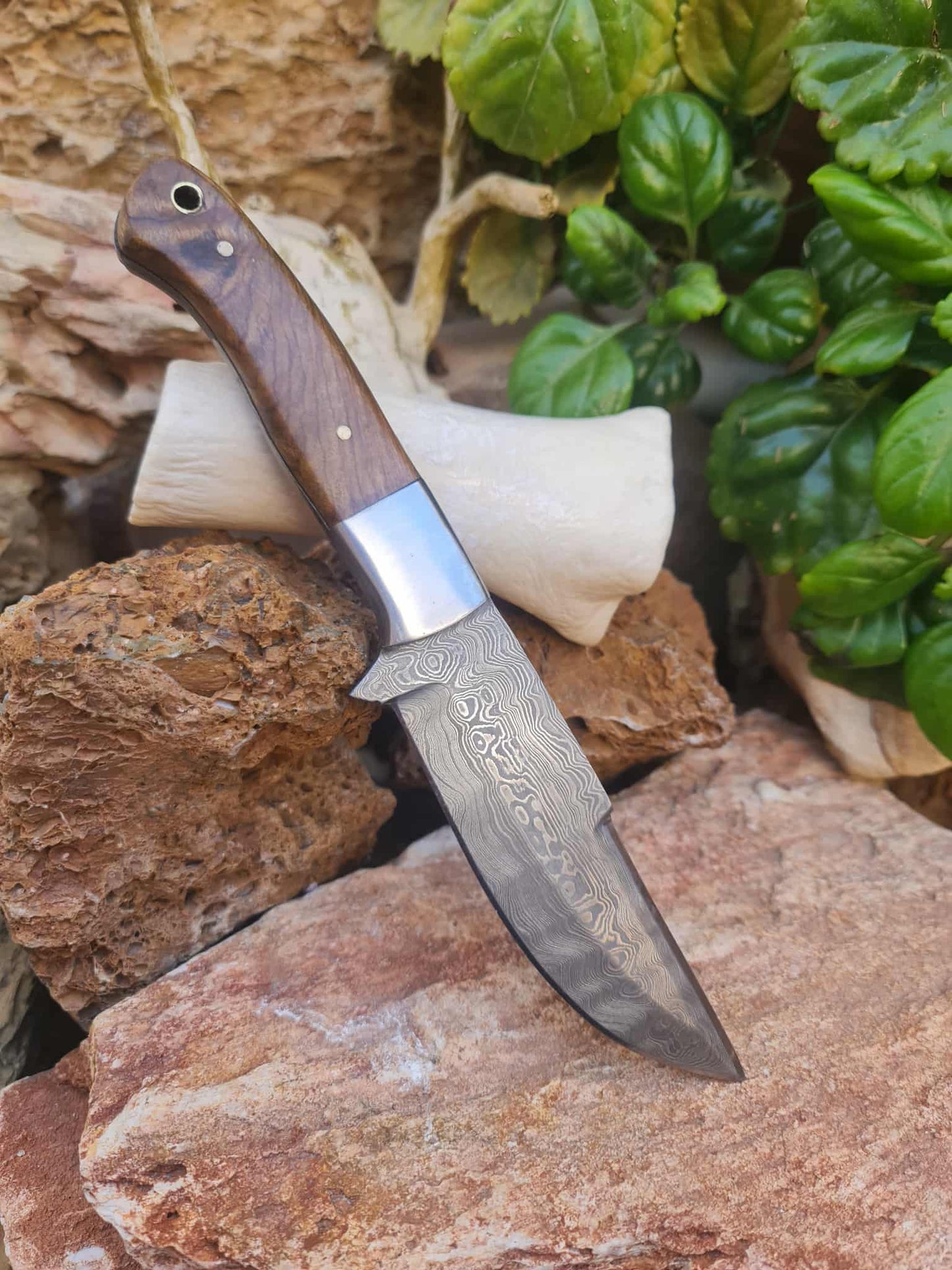 Handmade 24cm Hunting Knife with Raindrop Damascus Steel - Walnut wood & D2 Stainless Steel