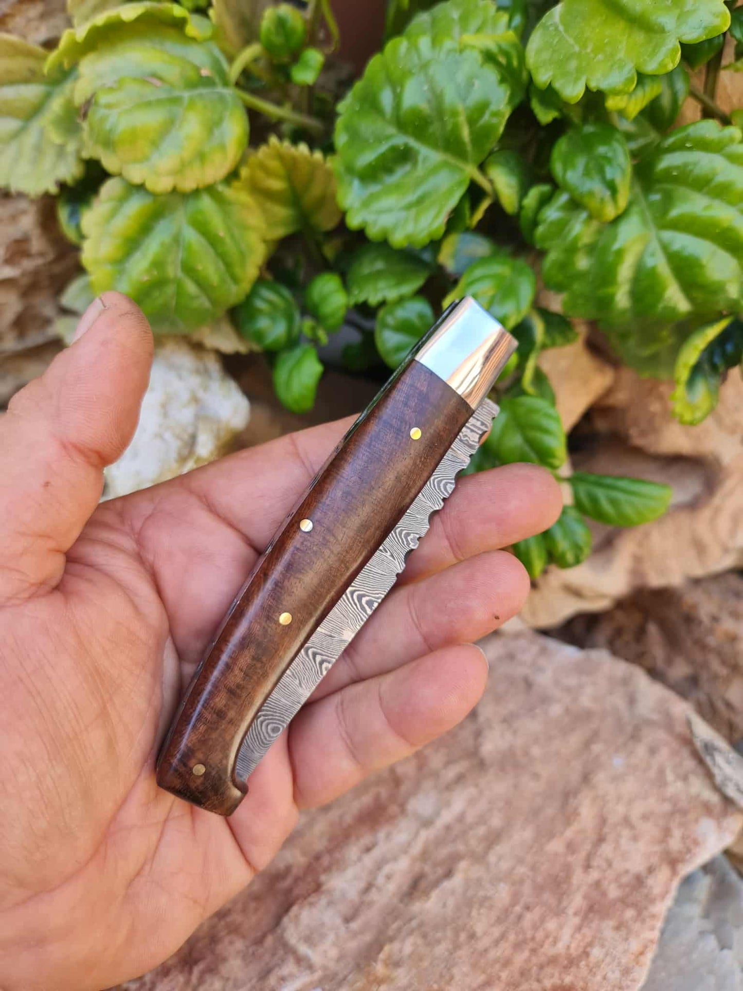 Handmade Resolza Pattadese – 23cm Italian Style Folding Knife with Damascus Steel & Walnut Wood