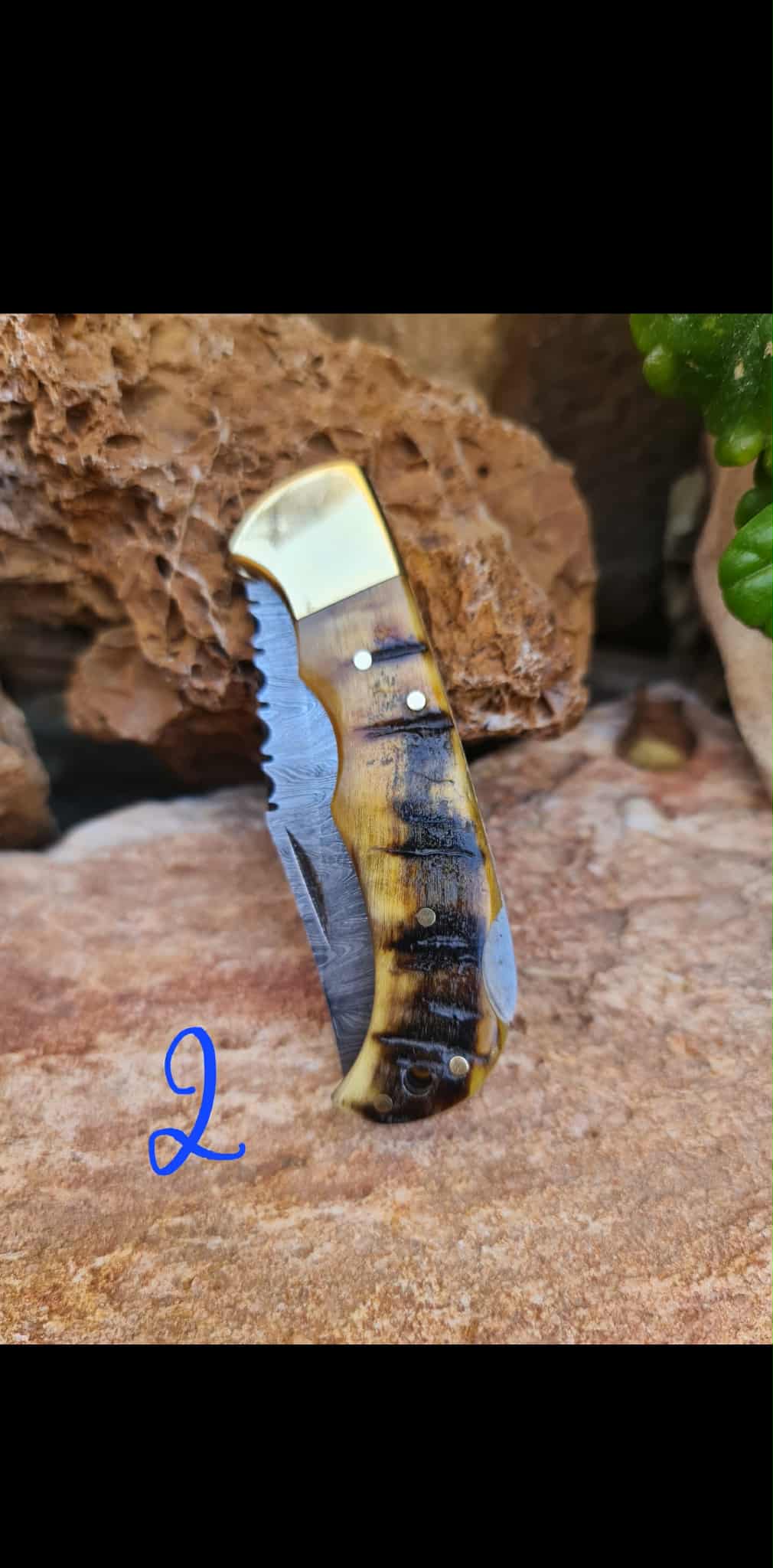Handmade 17cm Pocket Knife with Damascus Steel - Ram Horn & Brass