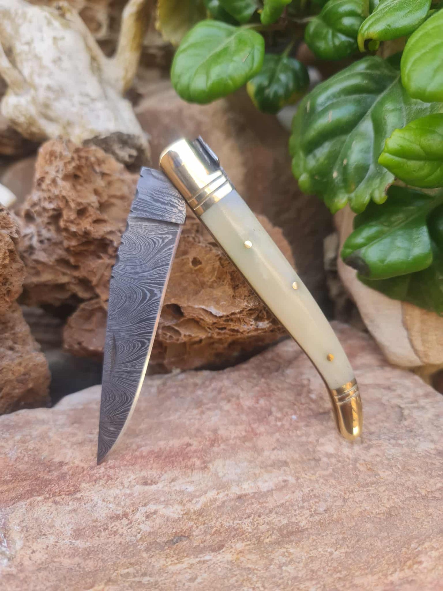Handmade 22cm Laguiole Classique with Damascus Steel - Camel Bone & Brass