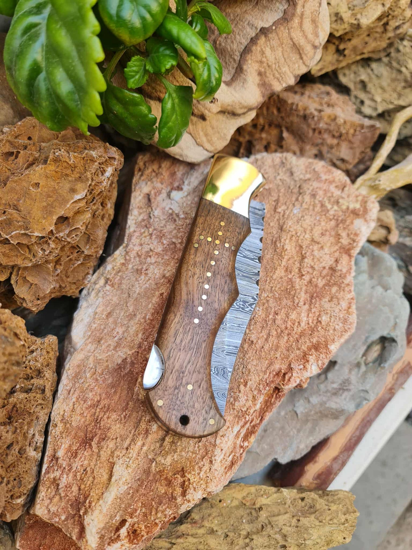Handmade Tactical – 30cm Folding Knife with Damascus Steel - Walnut Wood & Brass