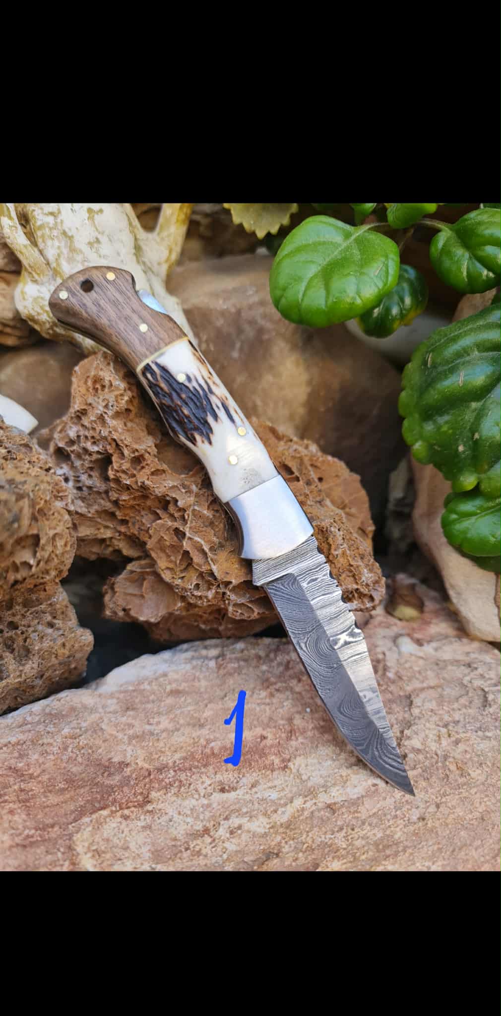 Handmade 19cm Pocket Knife with Damascus Steel - Red deer antler - Walnut wood & D2 Stainless Steel