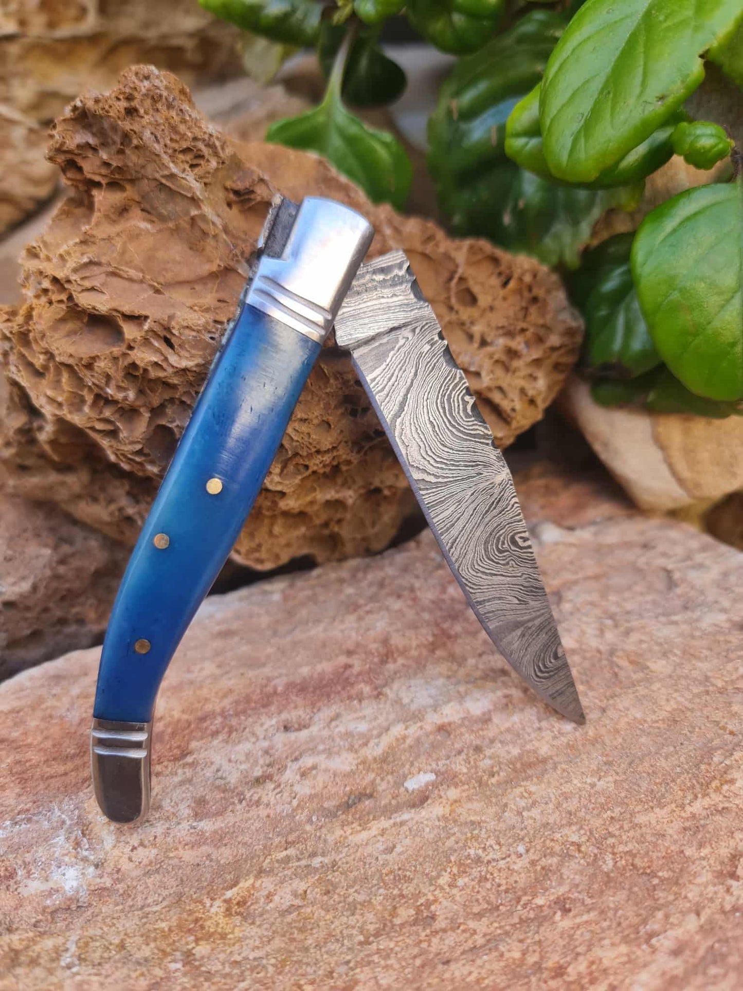 Handmade 22cm Laguiole Rustique with Damascus Steel - Stabilized Camel Bone with D2 Stainless Steel
