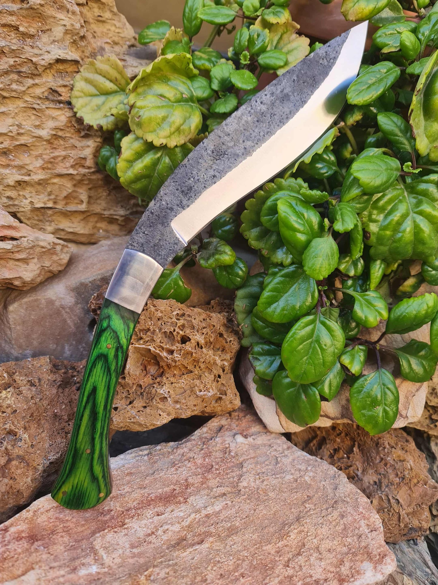 K103 Handmade Curved Knife - Carbon & Resin wood