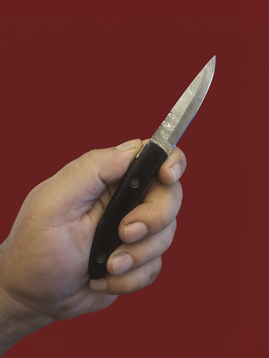 F089 Laguiole de Poche - Stainless Damascus & Horn