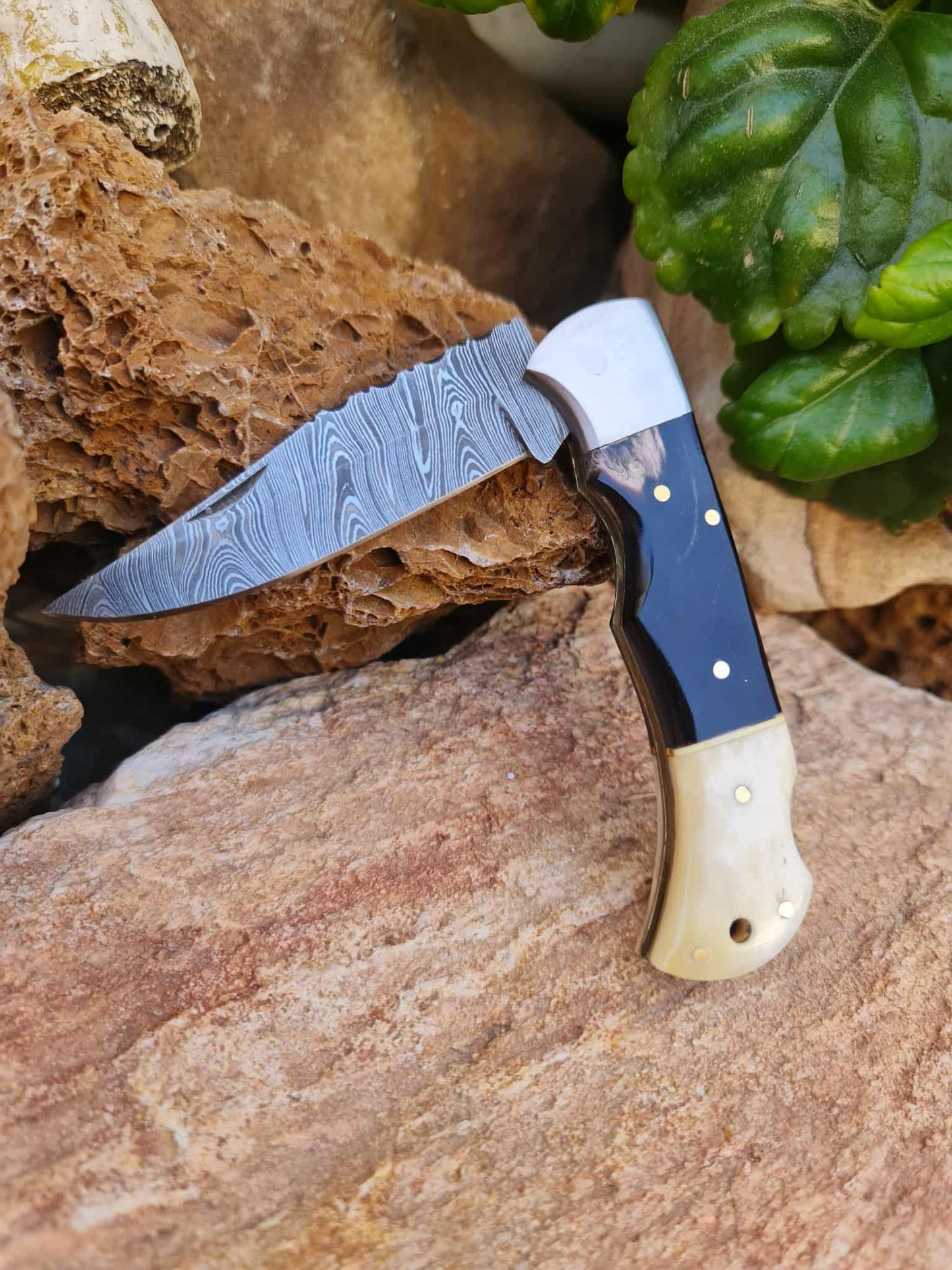 Handmade 19cm Pocket Knife with Damascus Steel - Buffalo Horn - Camel Bone & D2 Stainless Steel