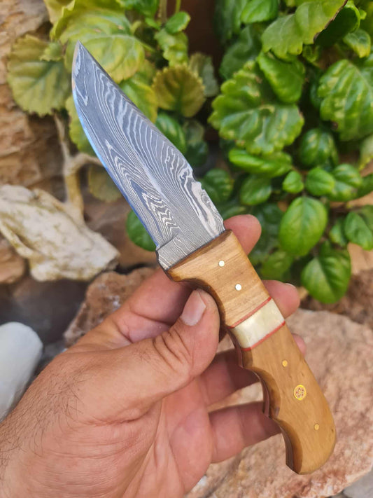 Handmade 22cm Hunting Knife with Damascus Steel - Olive wood & Camel bone