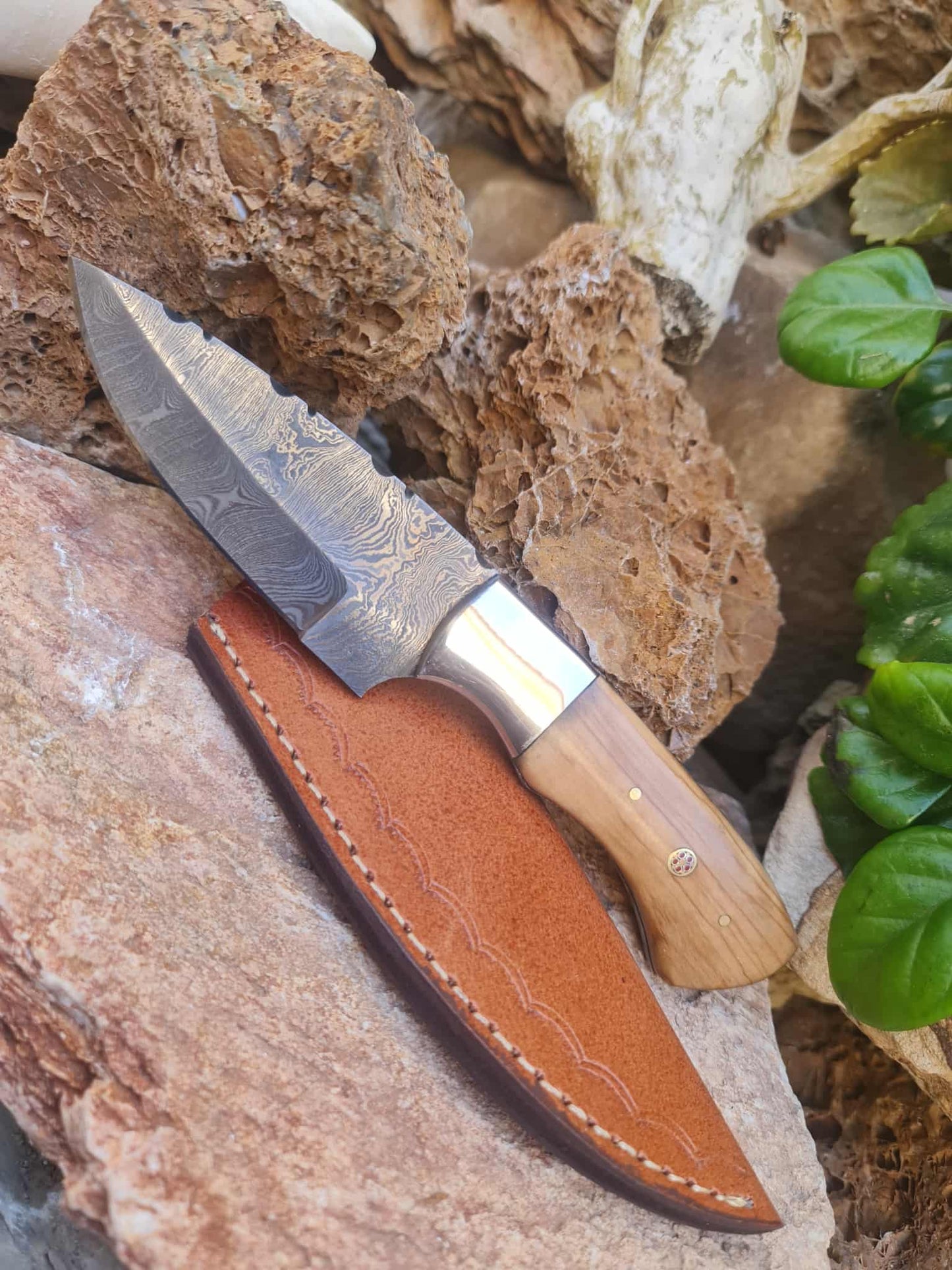 Handmade 20cm Skinner Knife with Damascus Steel - Olive wood & D2 Stainless Steel