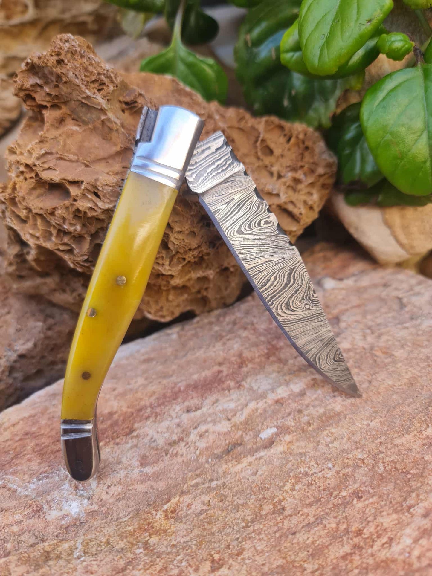 Handmade 22cm Laguiole Rustique with Damascus Steel - Stabilized Camel Bone with D2 Stainless Steel
