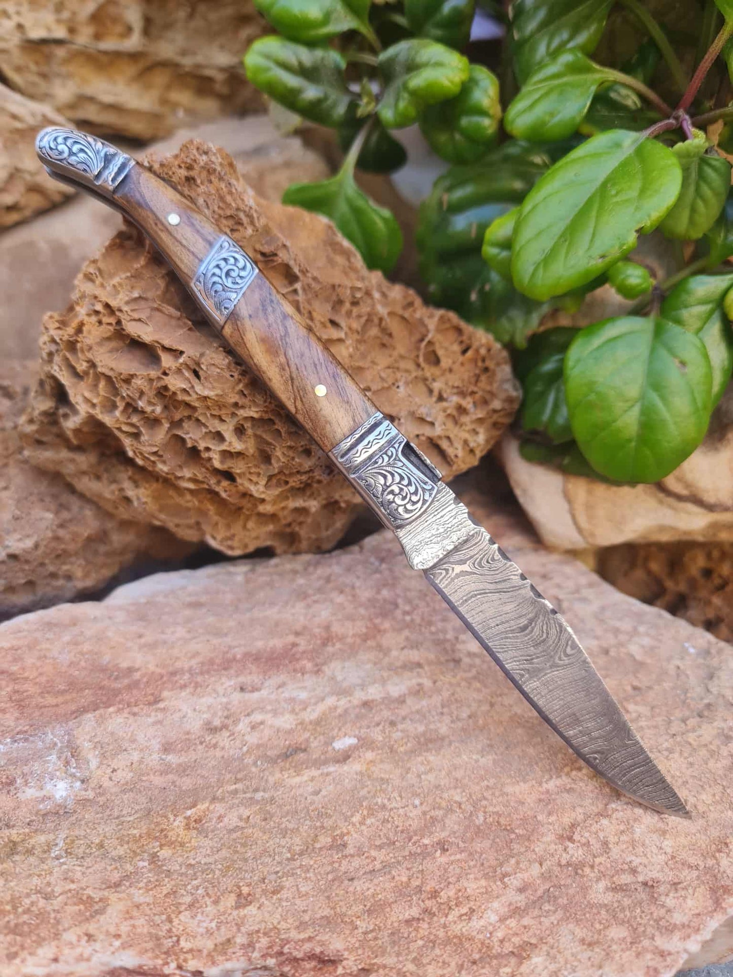 Handmade 22cm Laguiole Rustique with Damascus Steel - Olivewood & 420 Stainless Steel with Master Hand-Engraved