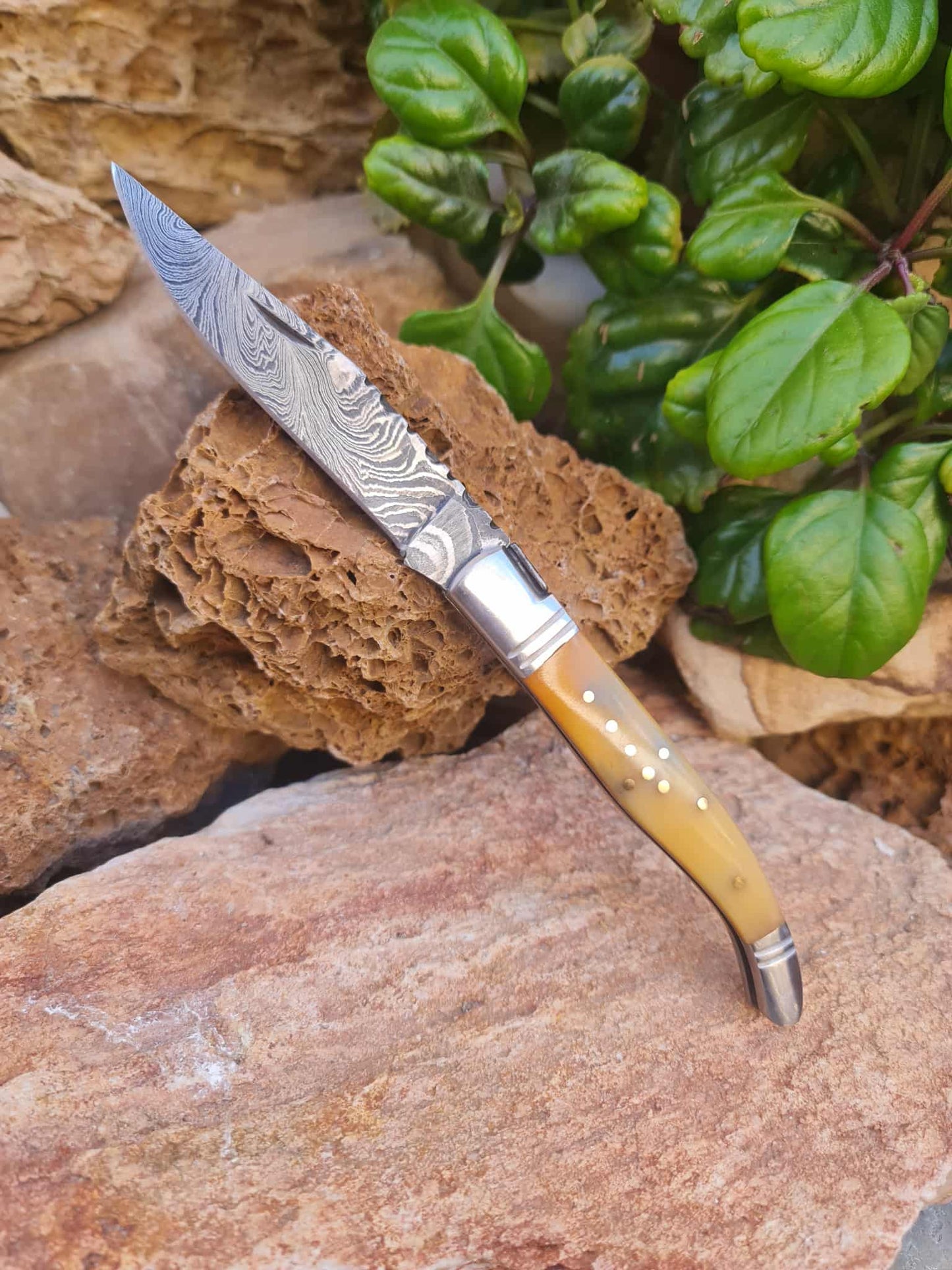 Handmade 22cm Laguiole Rustique with Damascus Steel - Stabilized Camel Bone with D2 Stainless Steel