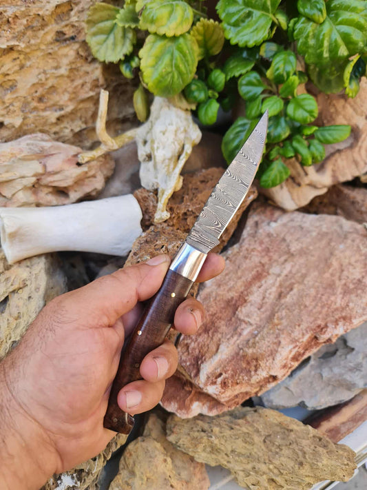 Handmade Resolza Pattadese – 23cm Italian Style Folding Knife with Damascus Steel & Walnut Wood
