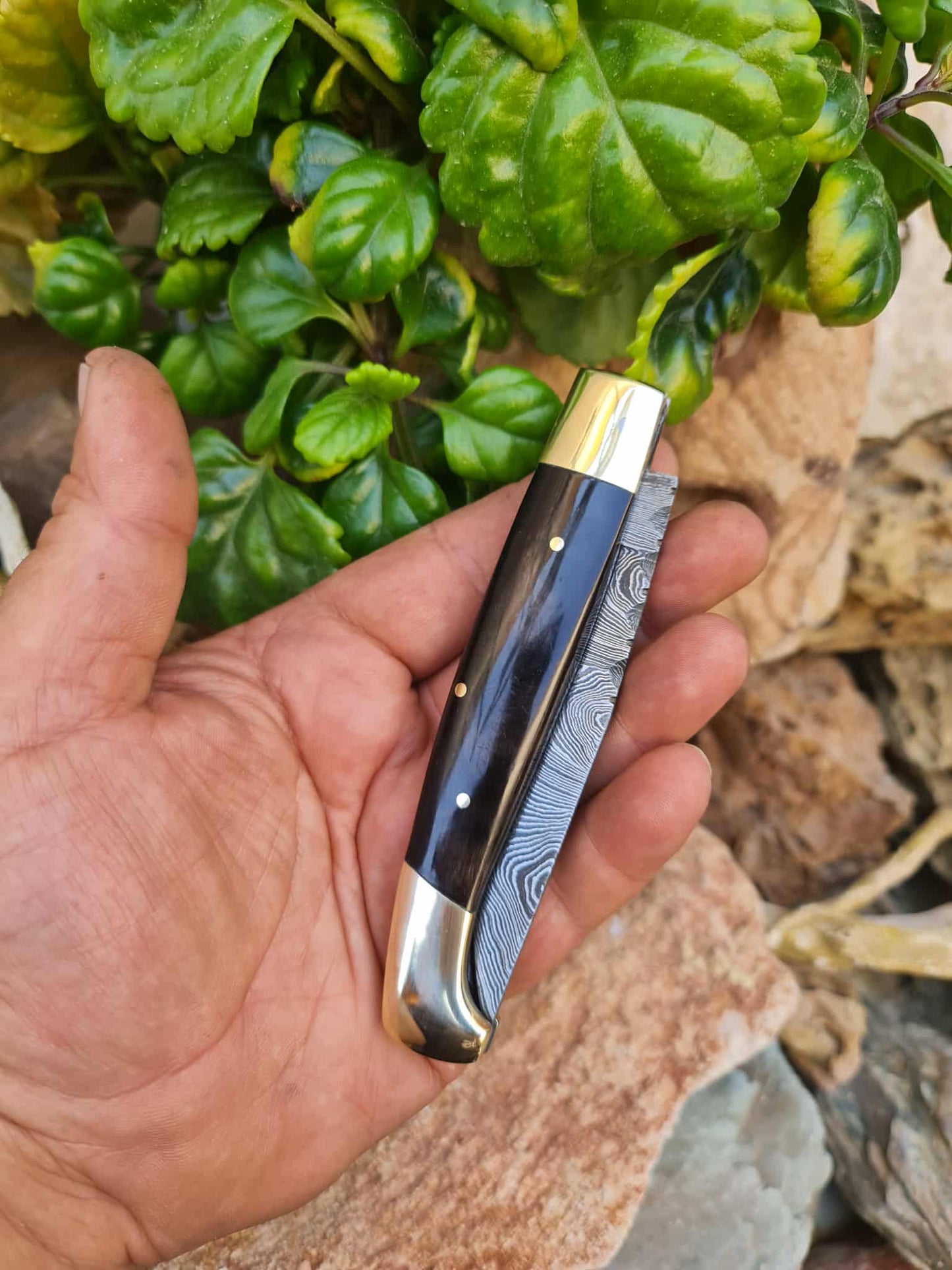 Handmade Resolza Pattadese – 23cm Italian Style Folding Knife with Damascus Steel - Buffalo Horn & Brass