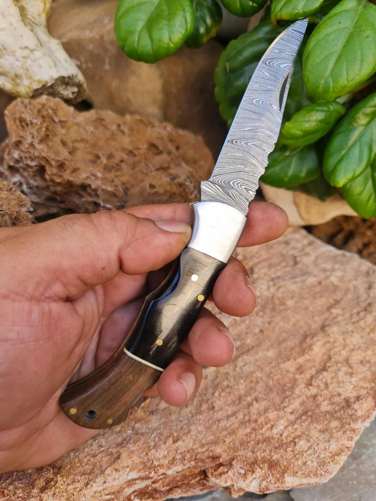 Handmade 19cm Pocket Knife with Damascus Steel - Buffalo Horn - Walnut Wood & D2 Stainless Steel