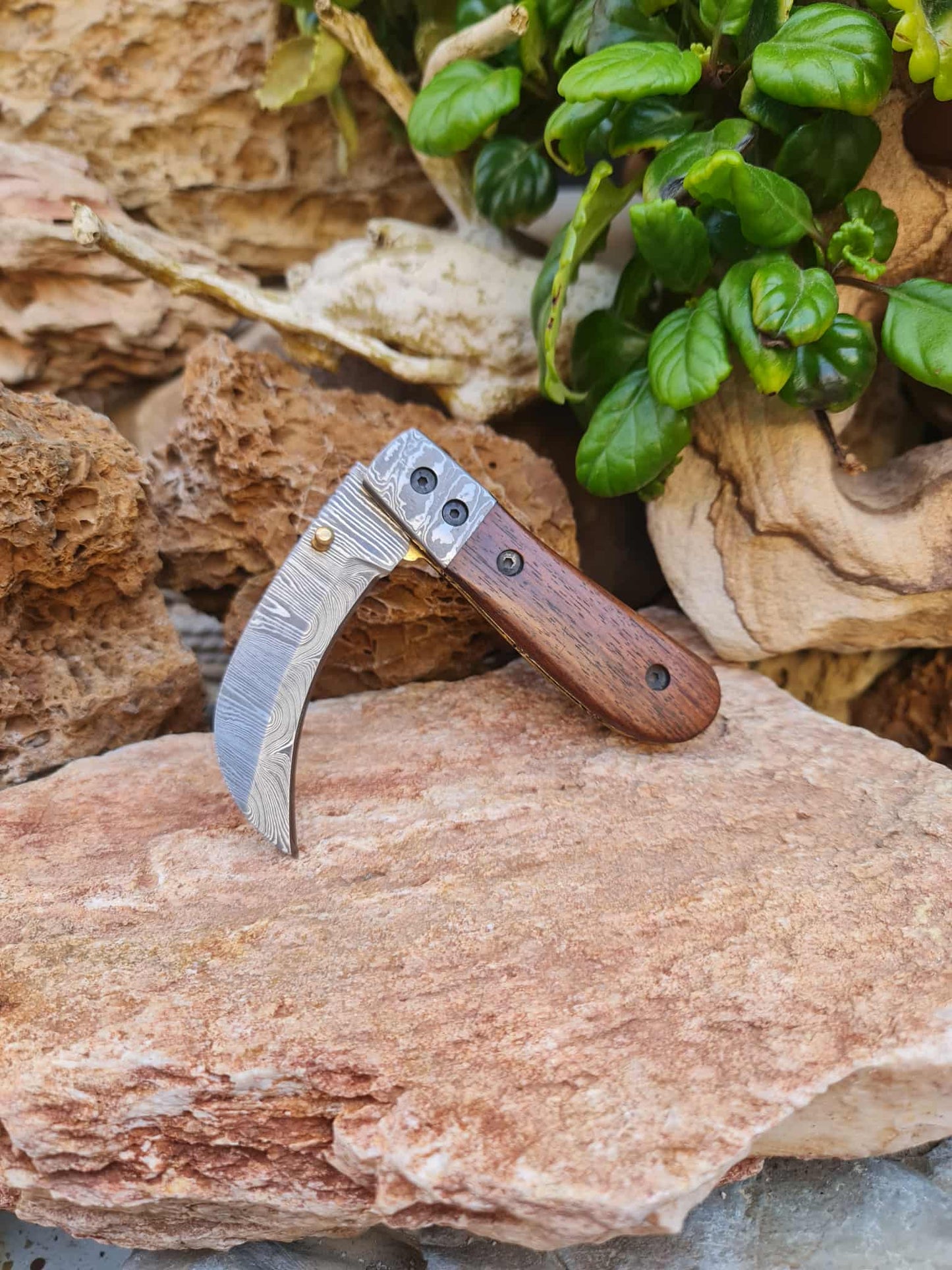 Handmade Hawkbill – 18cm Folding Knife with Damascus Steel & Walnut Wood