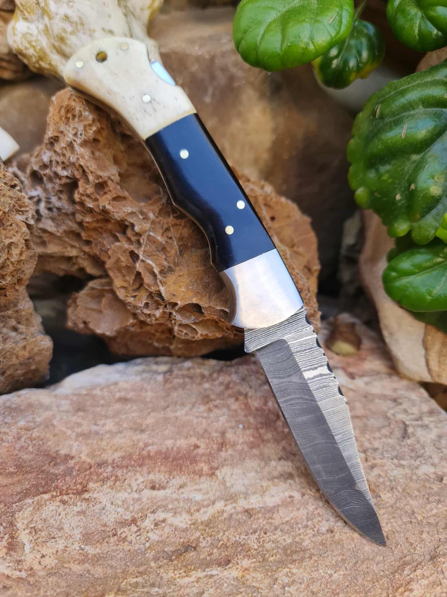 Handmade 19cm Pocket Knife with Damascus Steel - Buffalo Horn - Camel Bone & D2 Stainless Steel