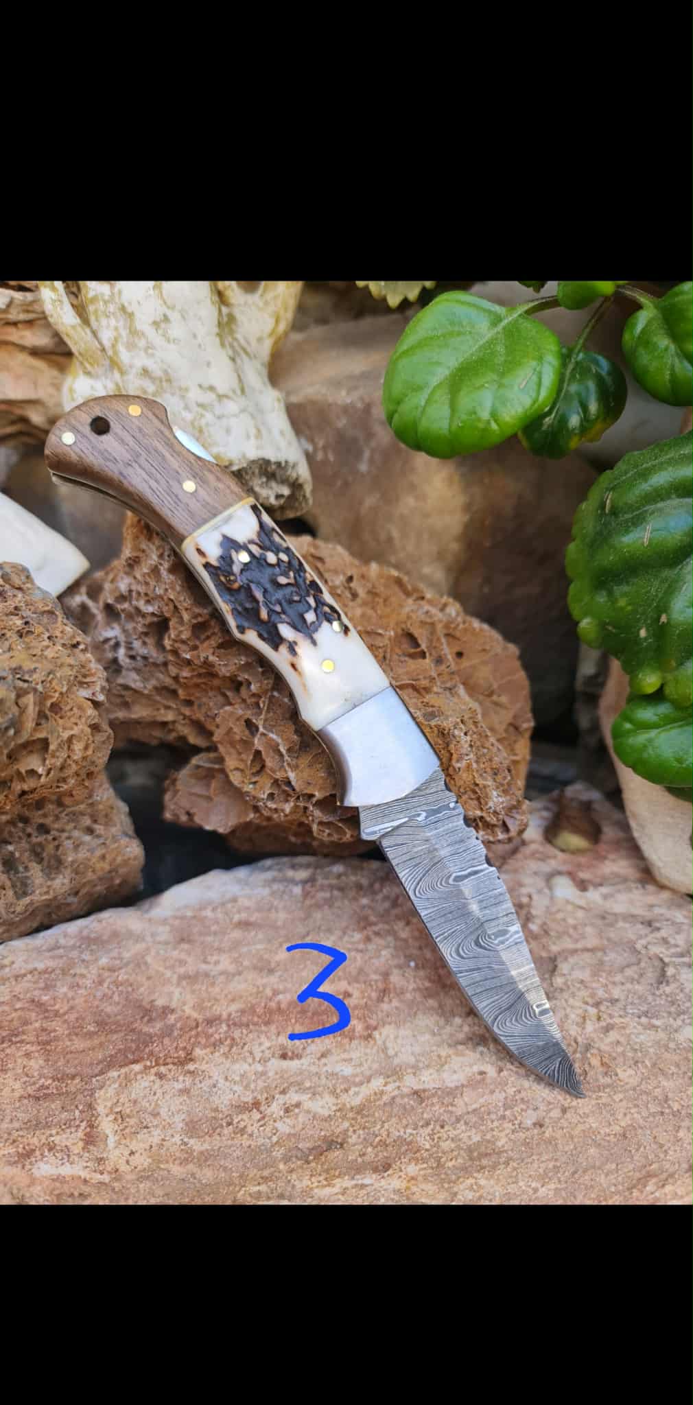 Handmade 19cm Pocket Knife with Damascus Steel - Red deer antler - Walnut wood & D2 Stainless Steel