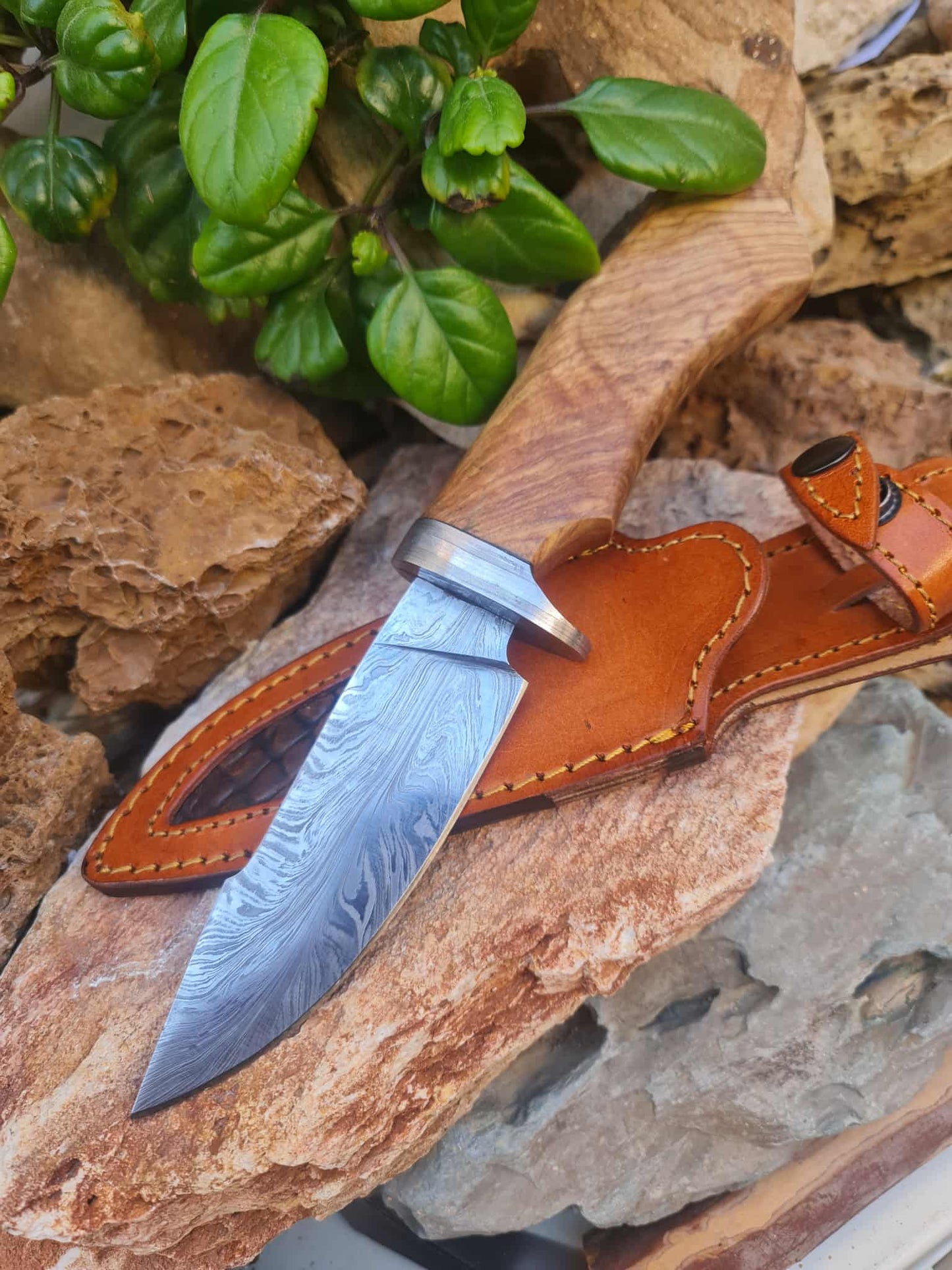 Handmade 27cm Hunting Knife with Feather Damascus Steel & Olive wood