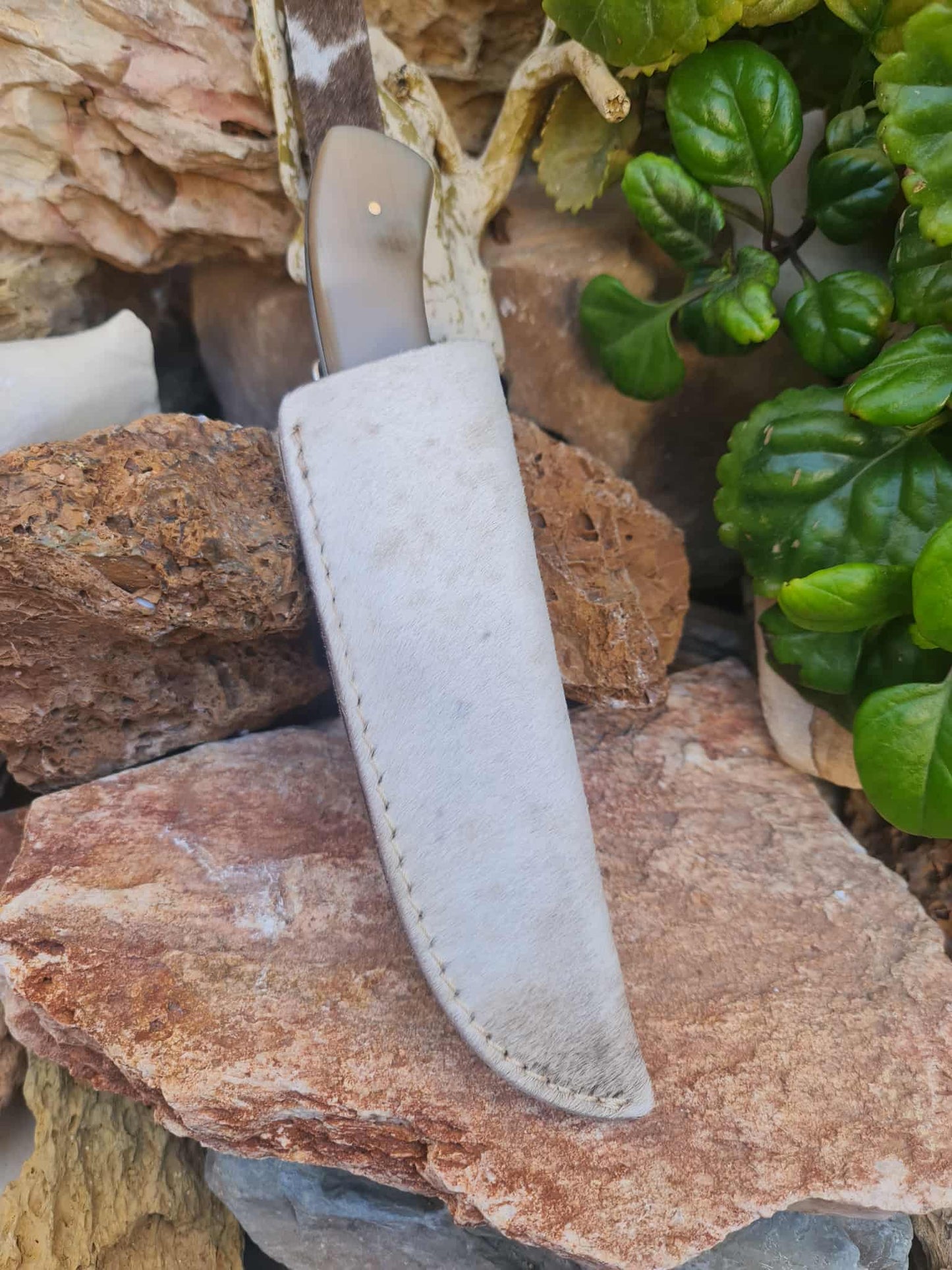 Handmade 22cm Premium Hunting Knife with Raindrop Damascus Steel - Ibex Horn & Stainless Steel with Master Hand-Engraved