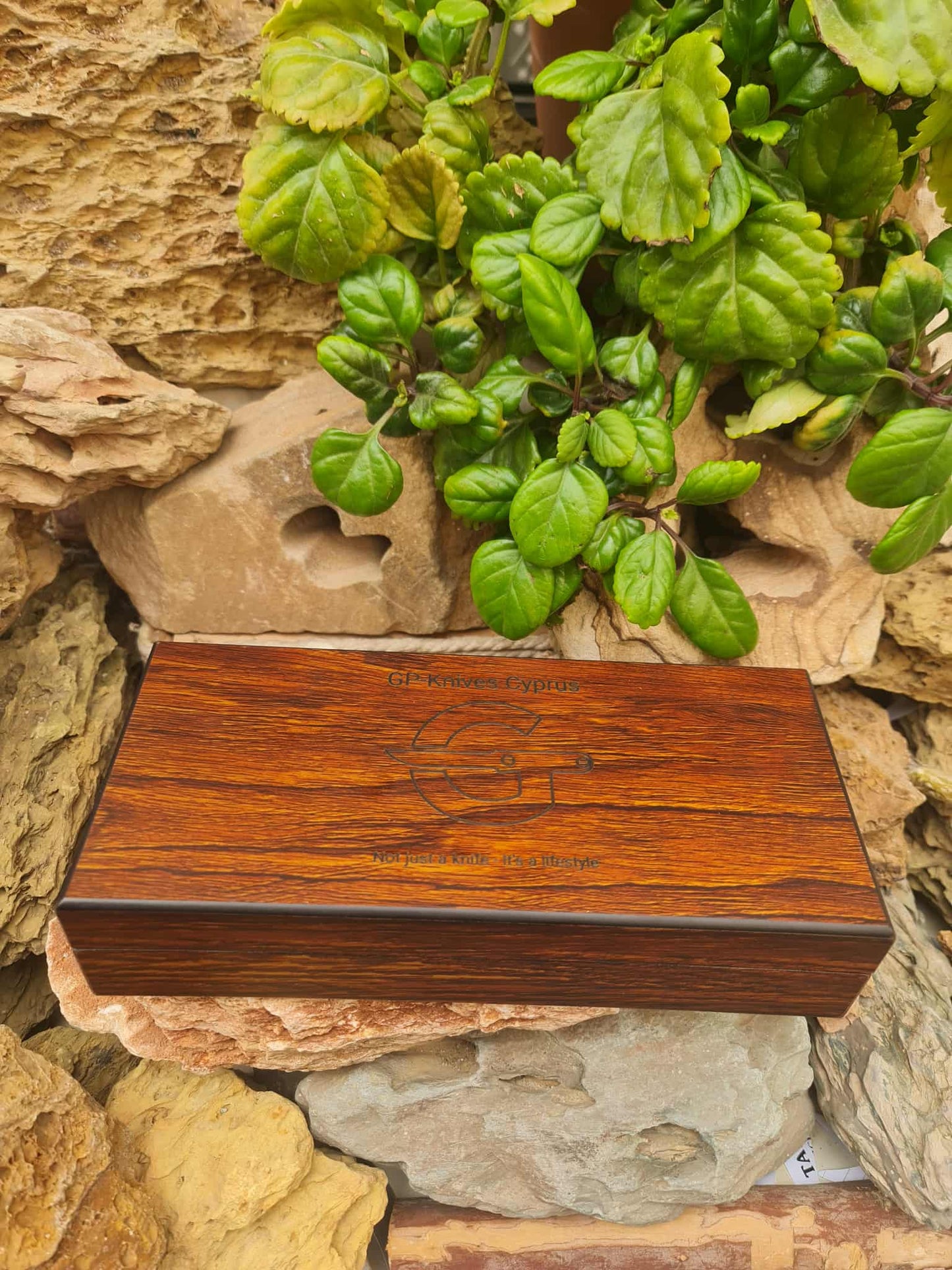 Premium Wooden Presentation Box with EVA Foam for Folding Knives