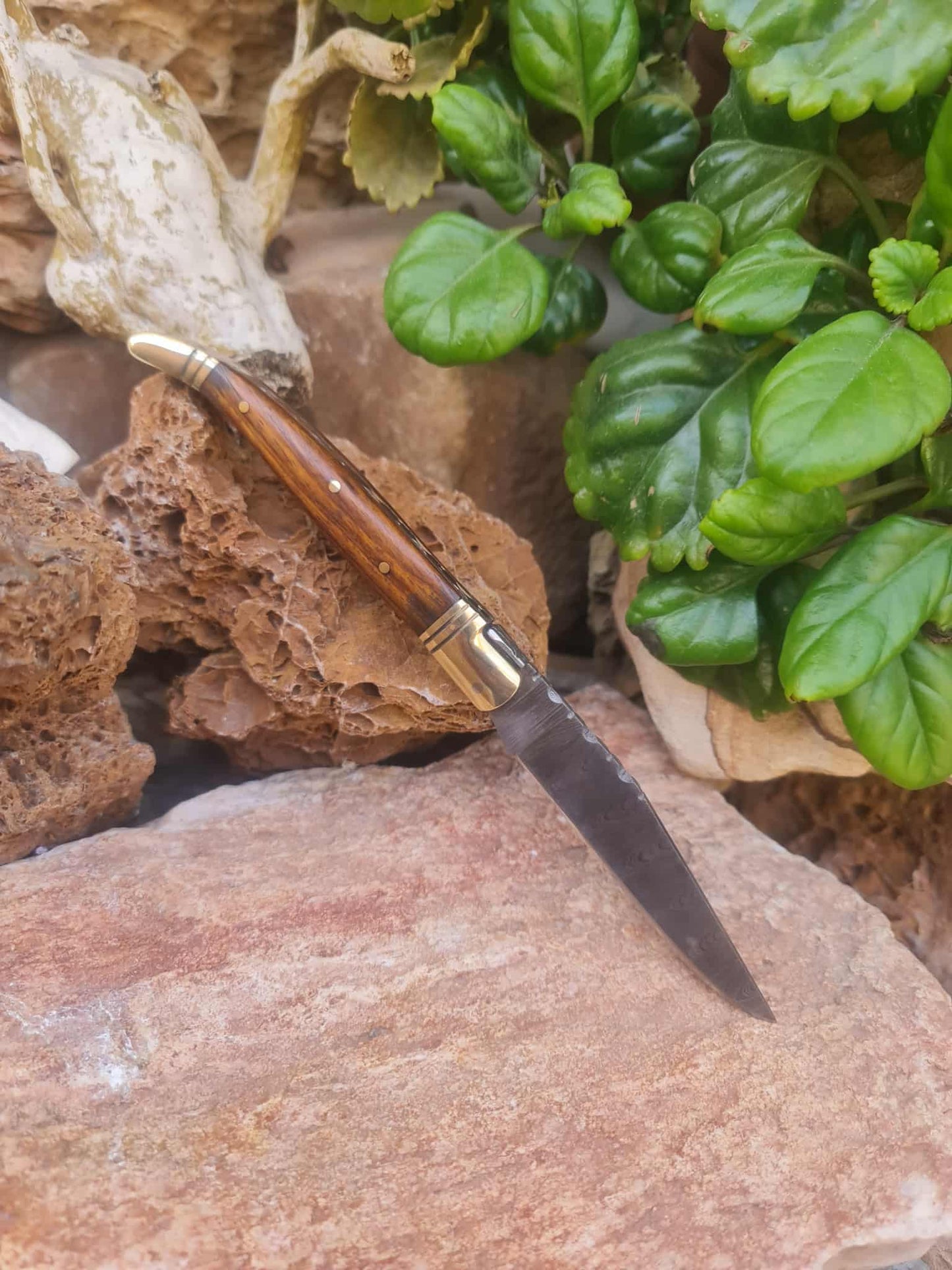 Handmade 22cm Laguiole Classique with Damascus Steel - Walnut wood & Brass