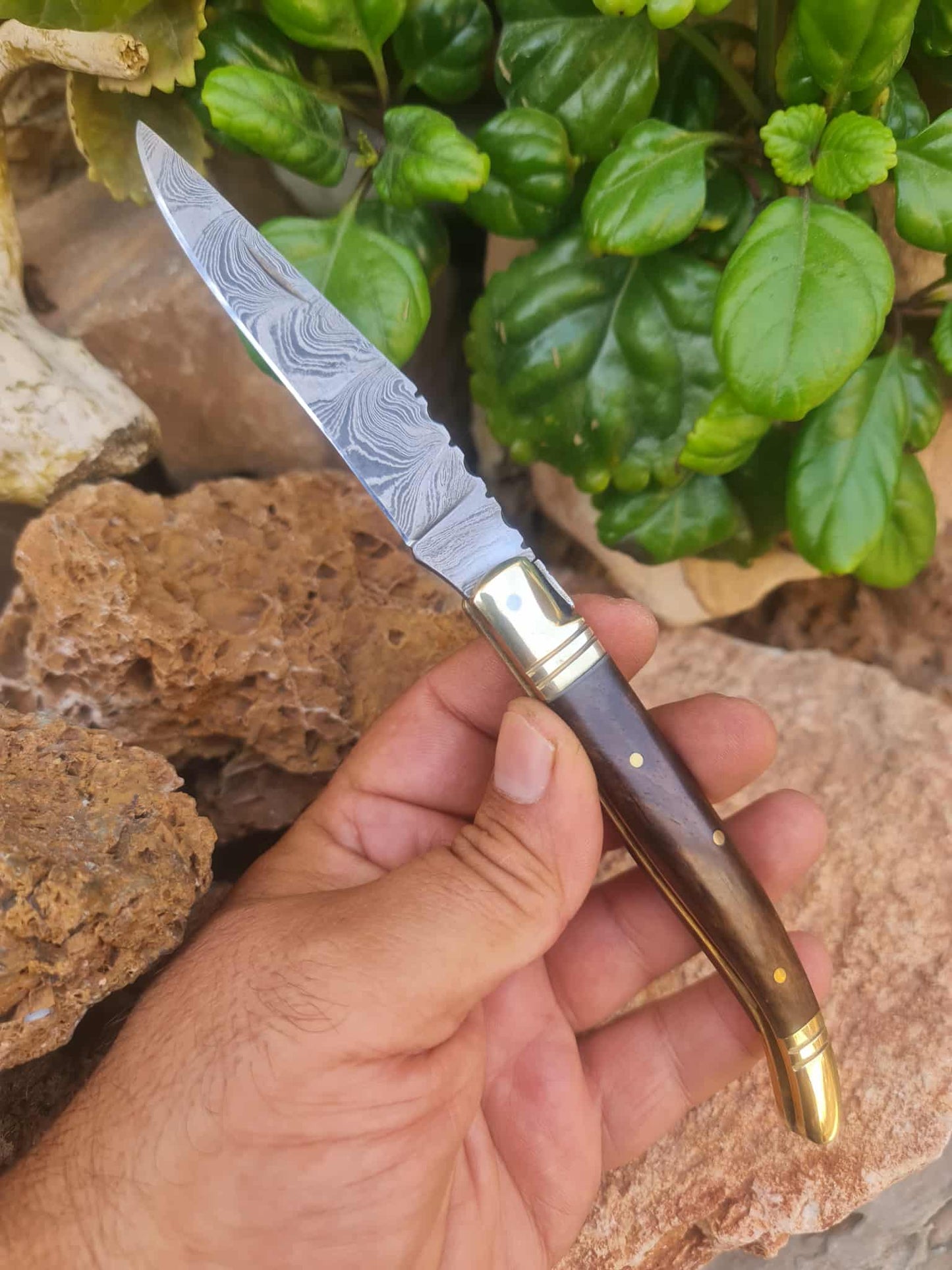 Handmade 22cm Laguiole Classique with Damascus Steel - Rosewood & Brass