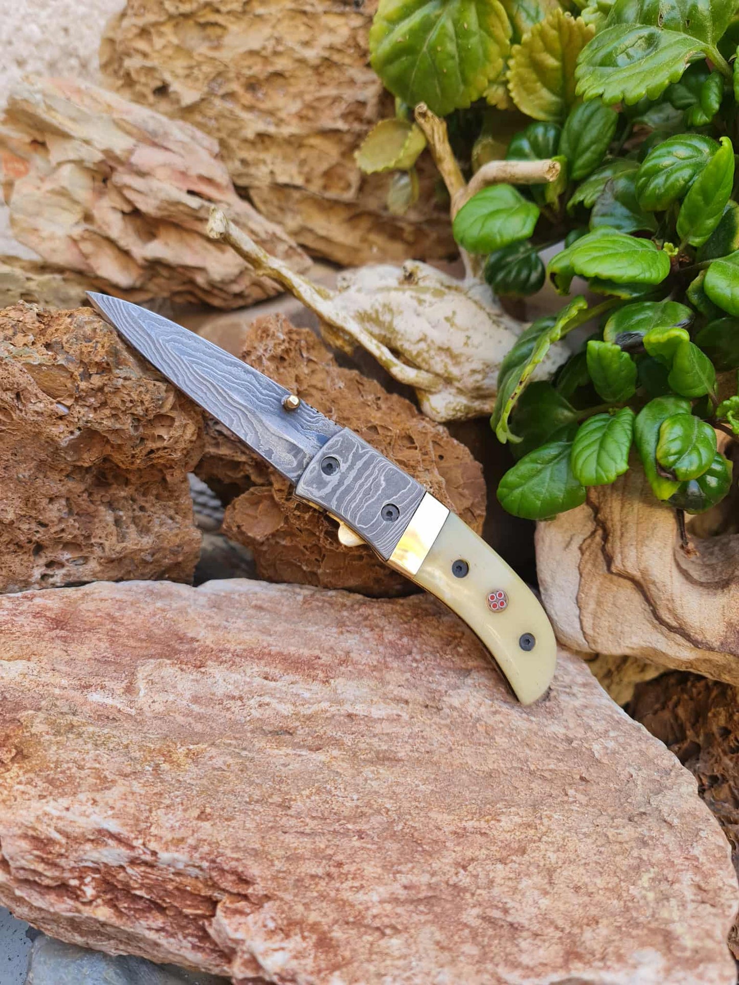 Handmade Classic Elegance – 20cm Folding Knife with Damascus Steel - Camel Bone & Brass