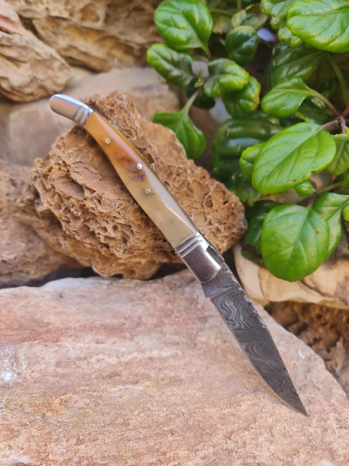 Handmade 22cm Laguiole Rustique with Damascus Steel - Ram Horn with D2 Stainless Steel