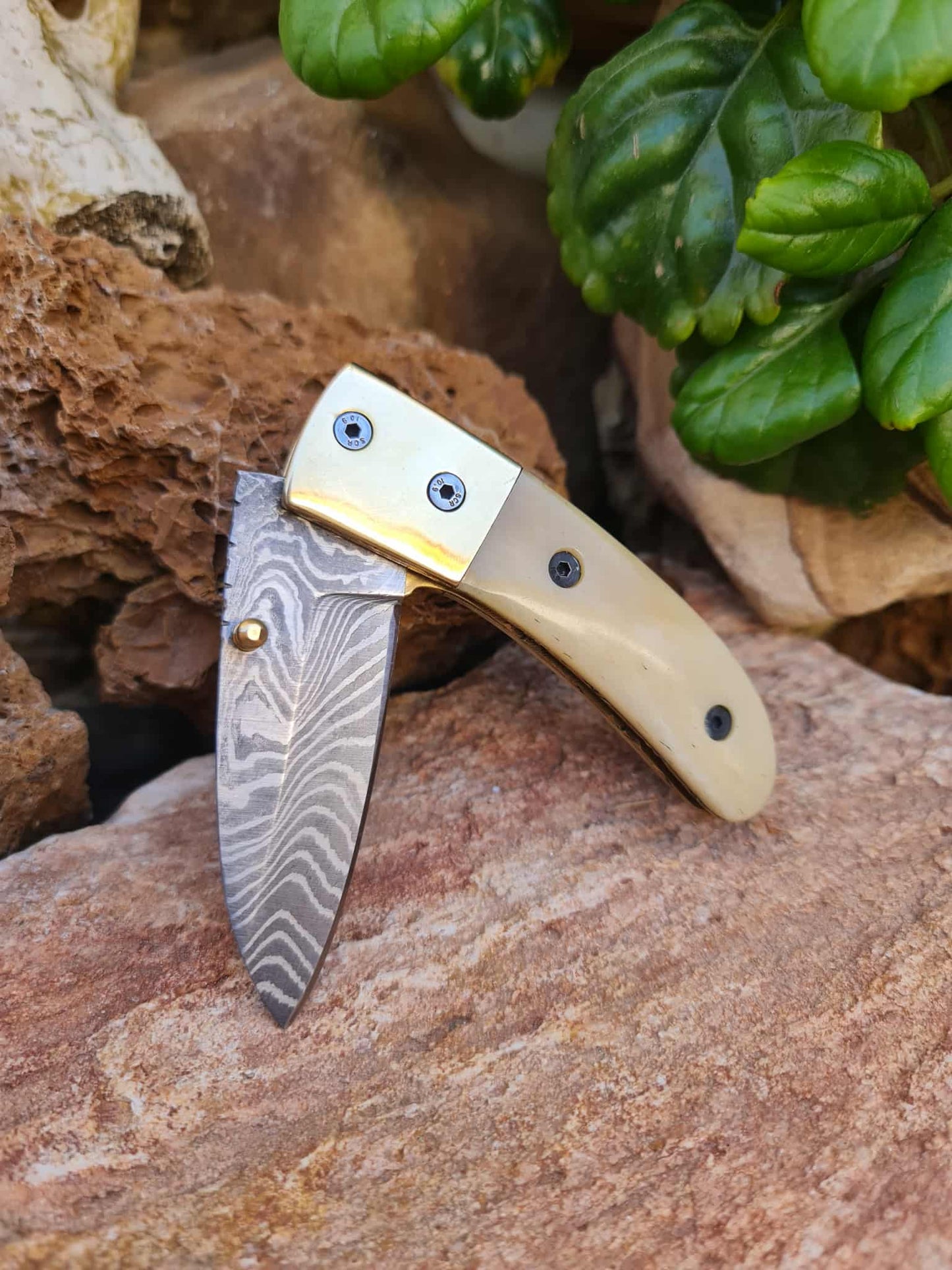 Handmade Classic Elegance – 18cm Folding Knife with Damascus Steel - Camel bone & Brass