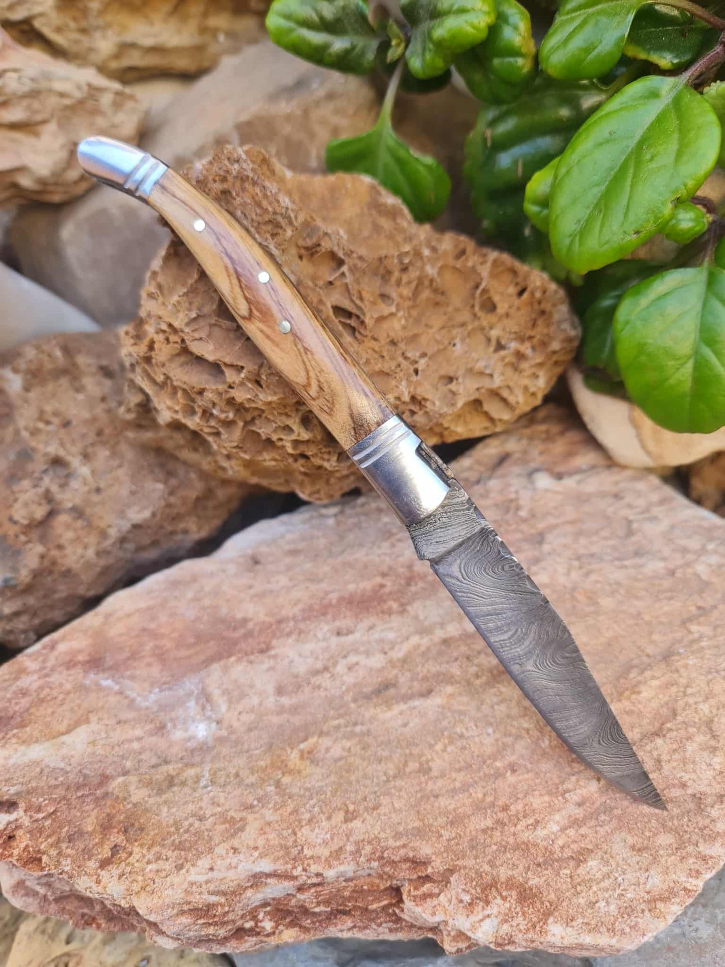Handmade 22cm Laguiole Rustique with Damascus Steel - Olivewood with D2 Stainless Steel